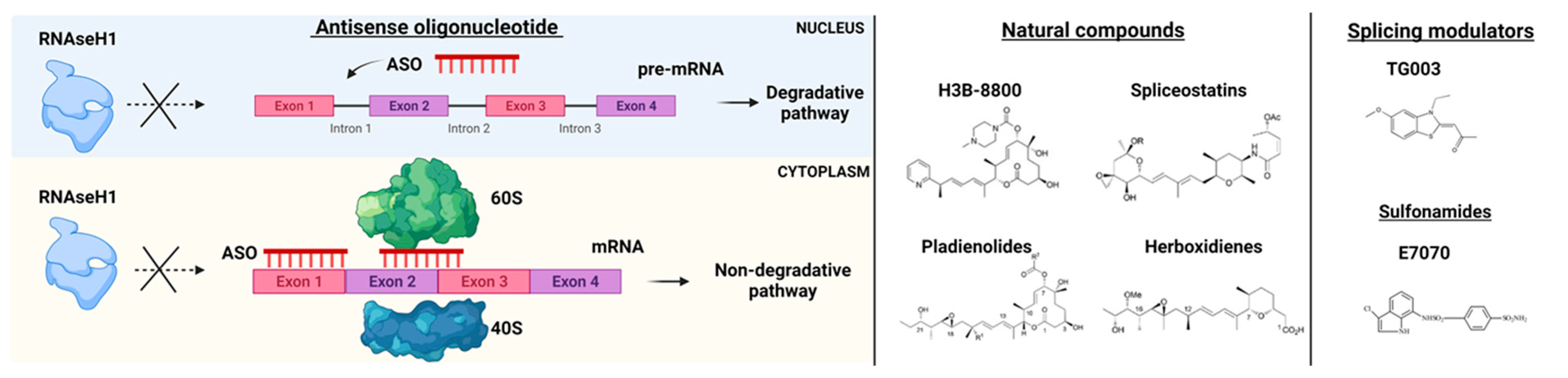 Biomedicines 09 01844 g003 Biomedicines 09 01844 g003
