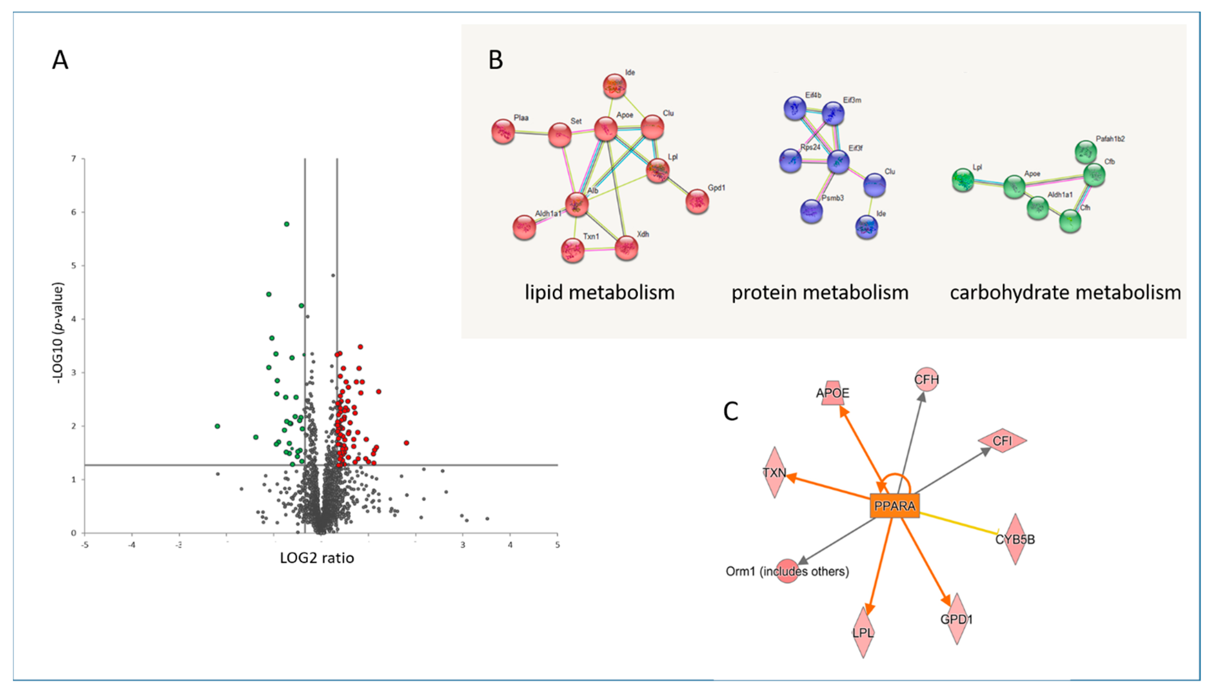 Biomedicines 09 01845 g001 Biomedicines 09 01845 g001