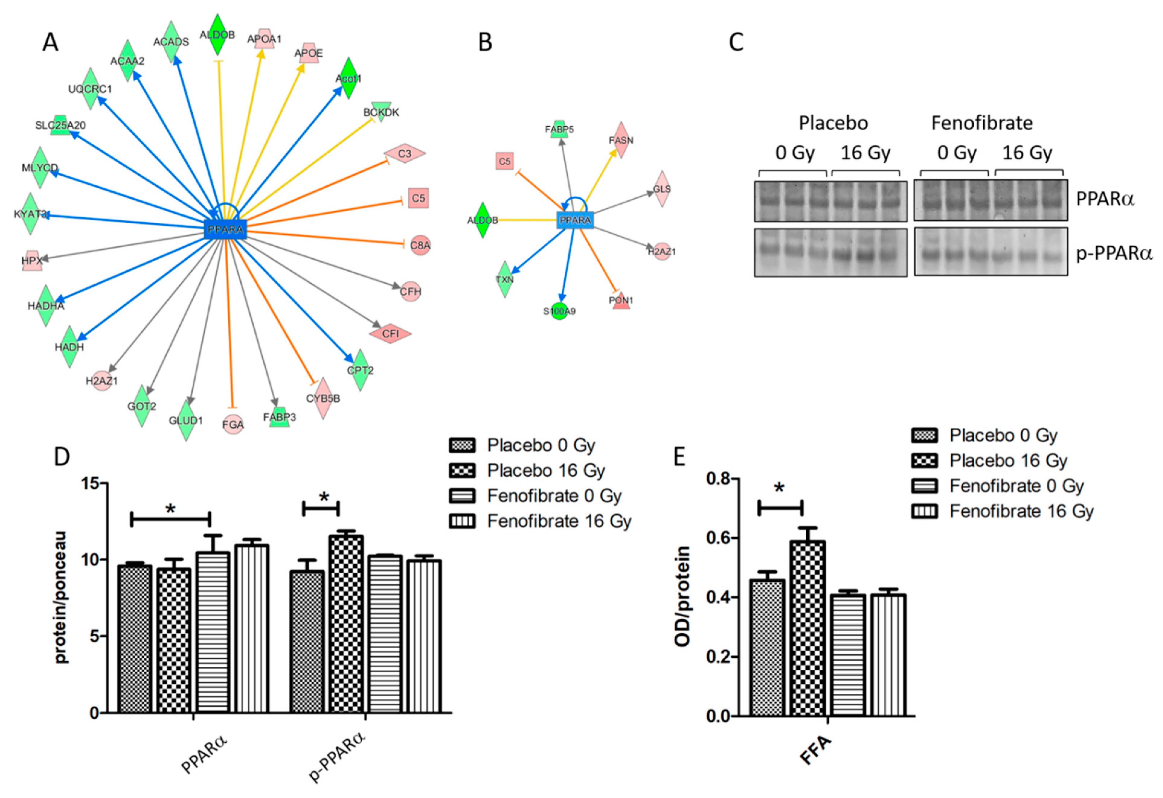 Biomedicines 09 01845 g003 Biomedicines 09 01845 g003