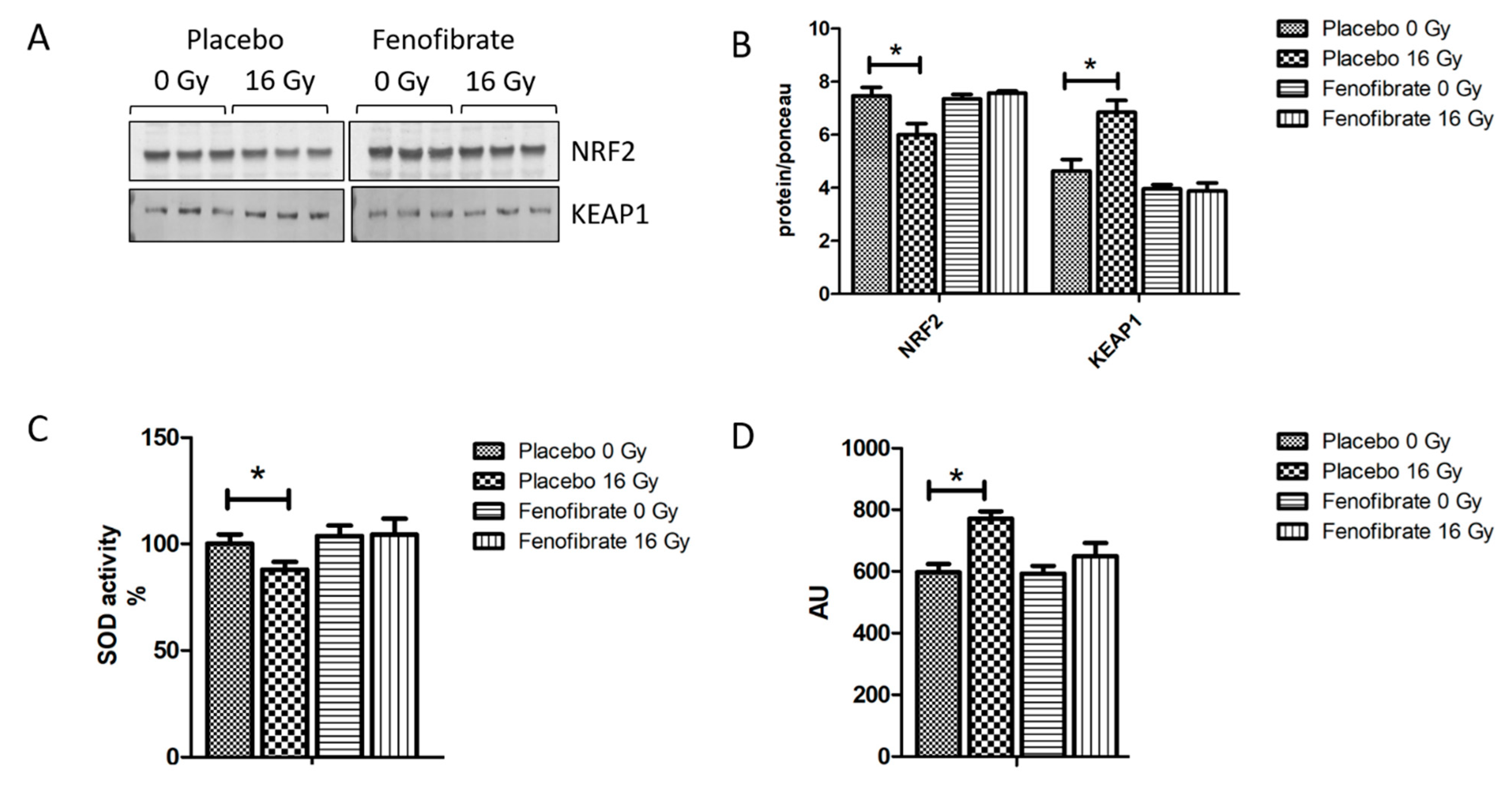 Biomedicines 09 01845 g005 Biomedicines 09 01845 g005