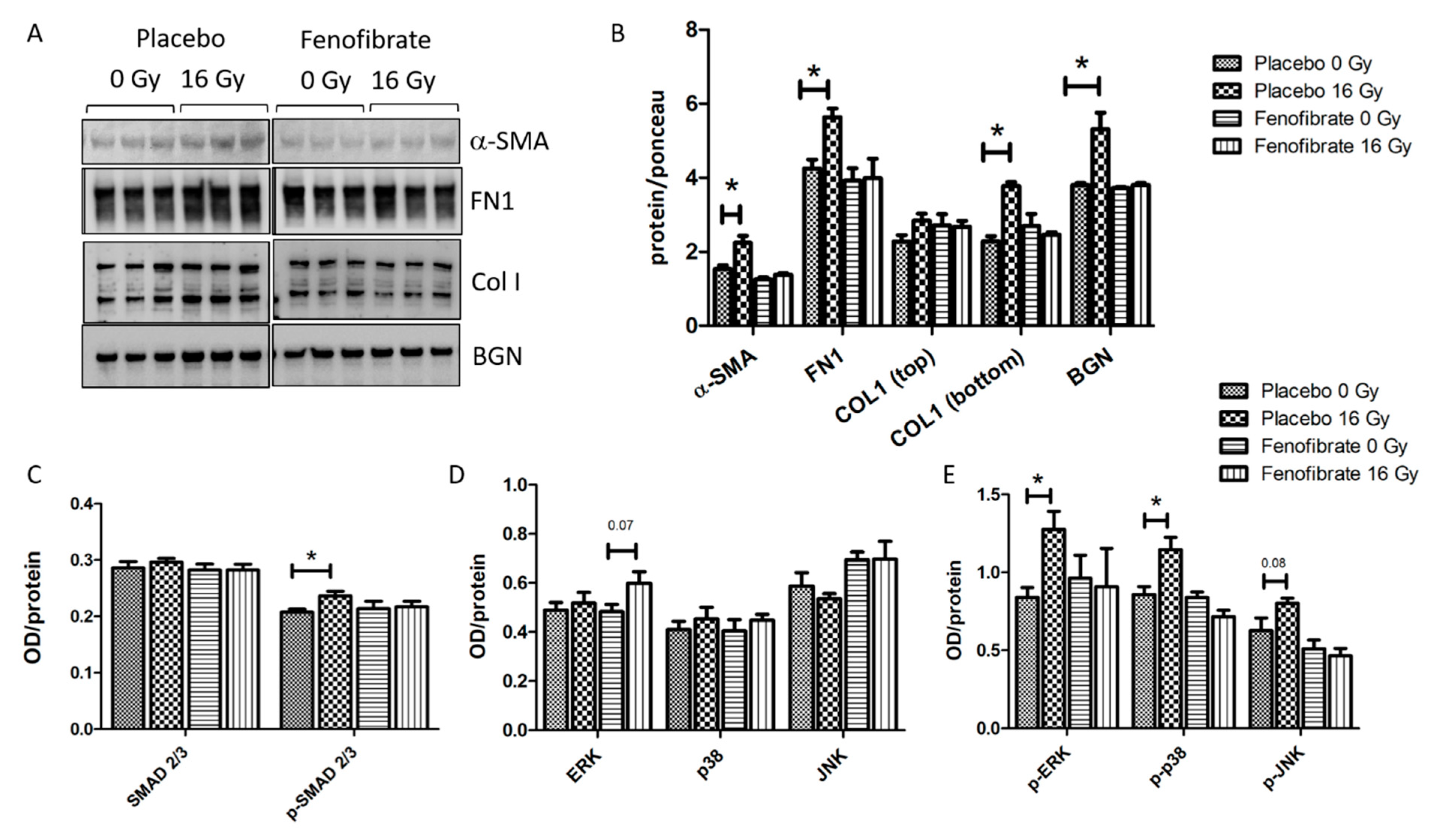 Biomedicines 09 01845 g007 Biomedicines 09 01845 g007