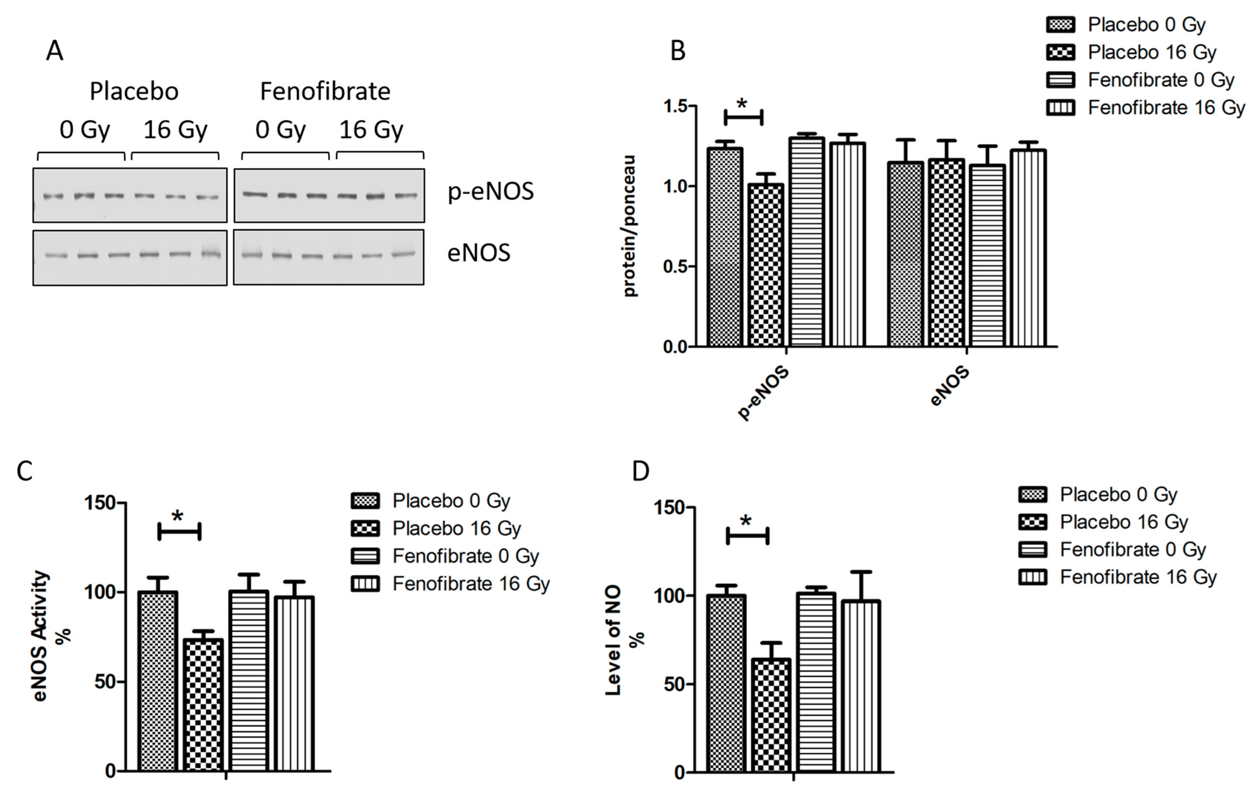 Biomedicines 09 01845 g008 Biomedicines 09 01845 g008