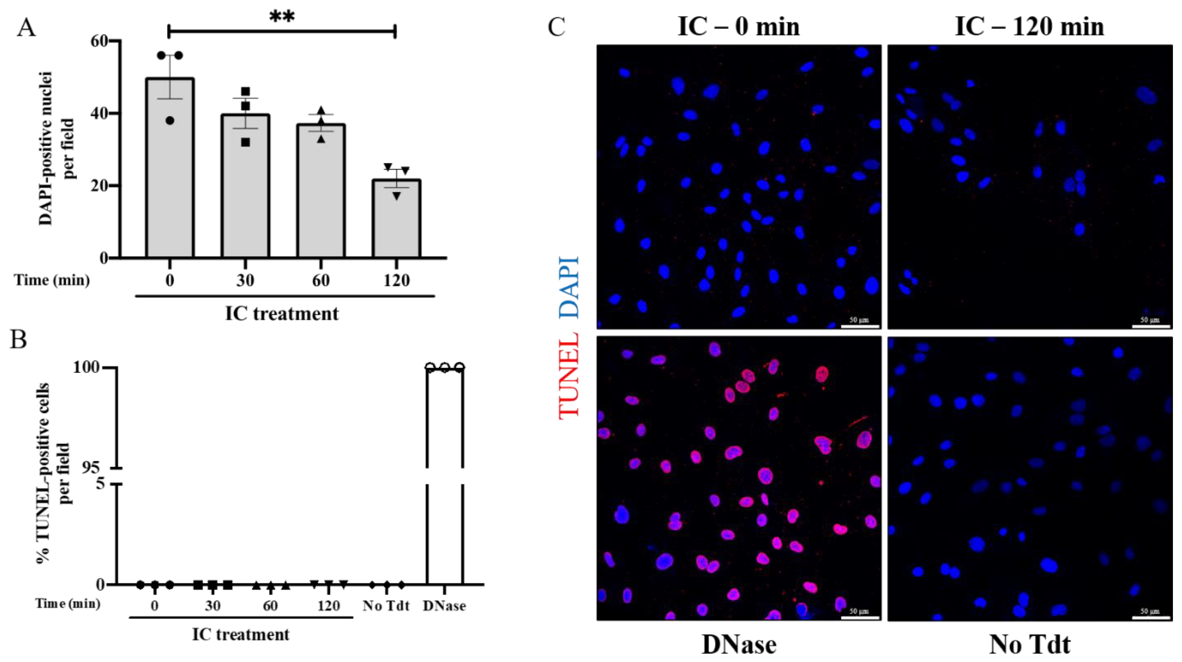 Biomedicines 09 01851 g002