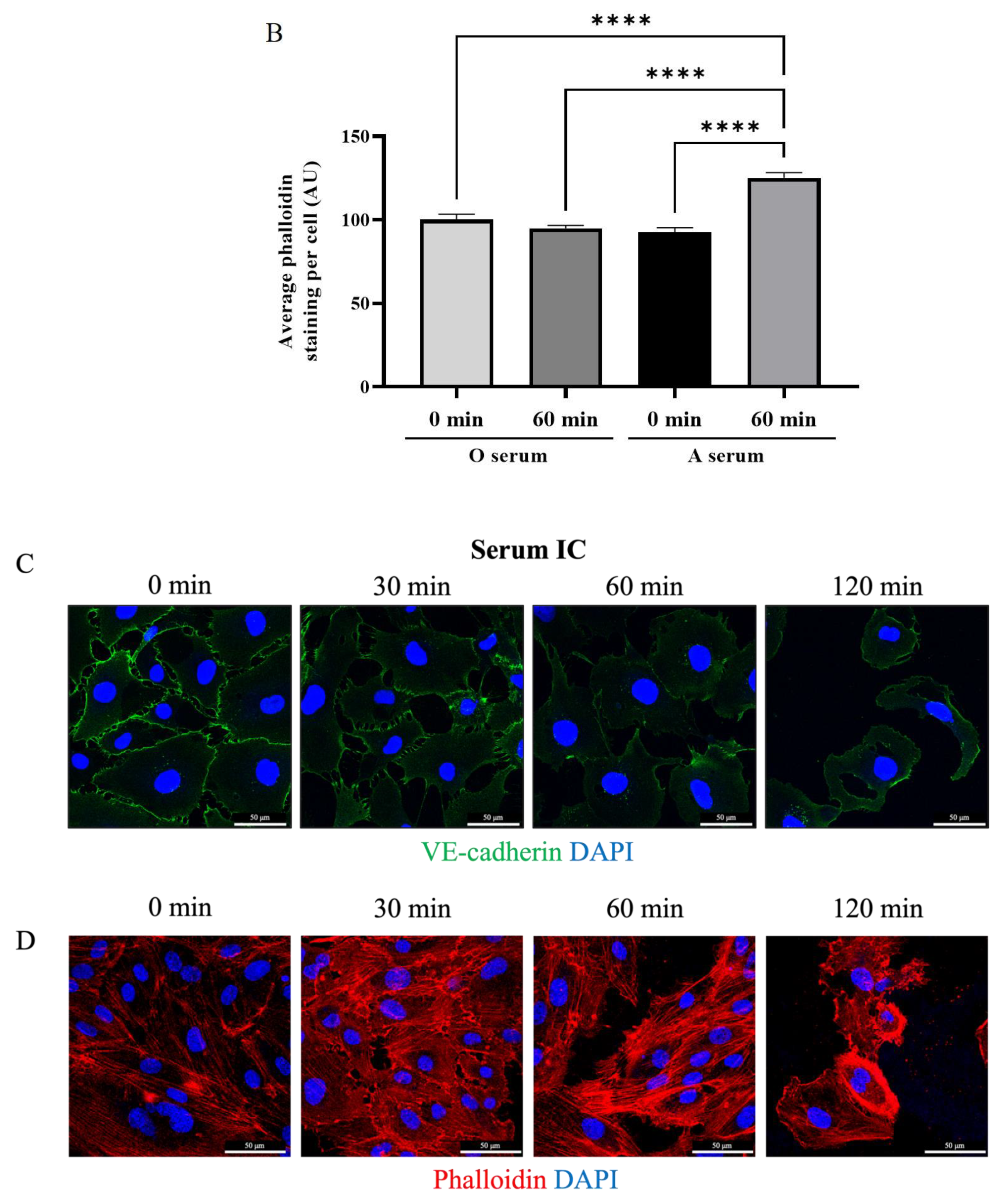Biomedicines 09 01851 g004b