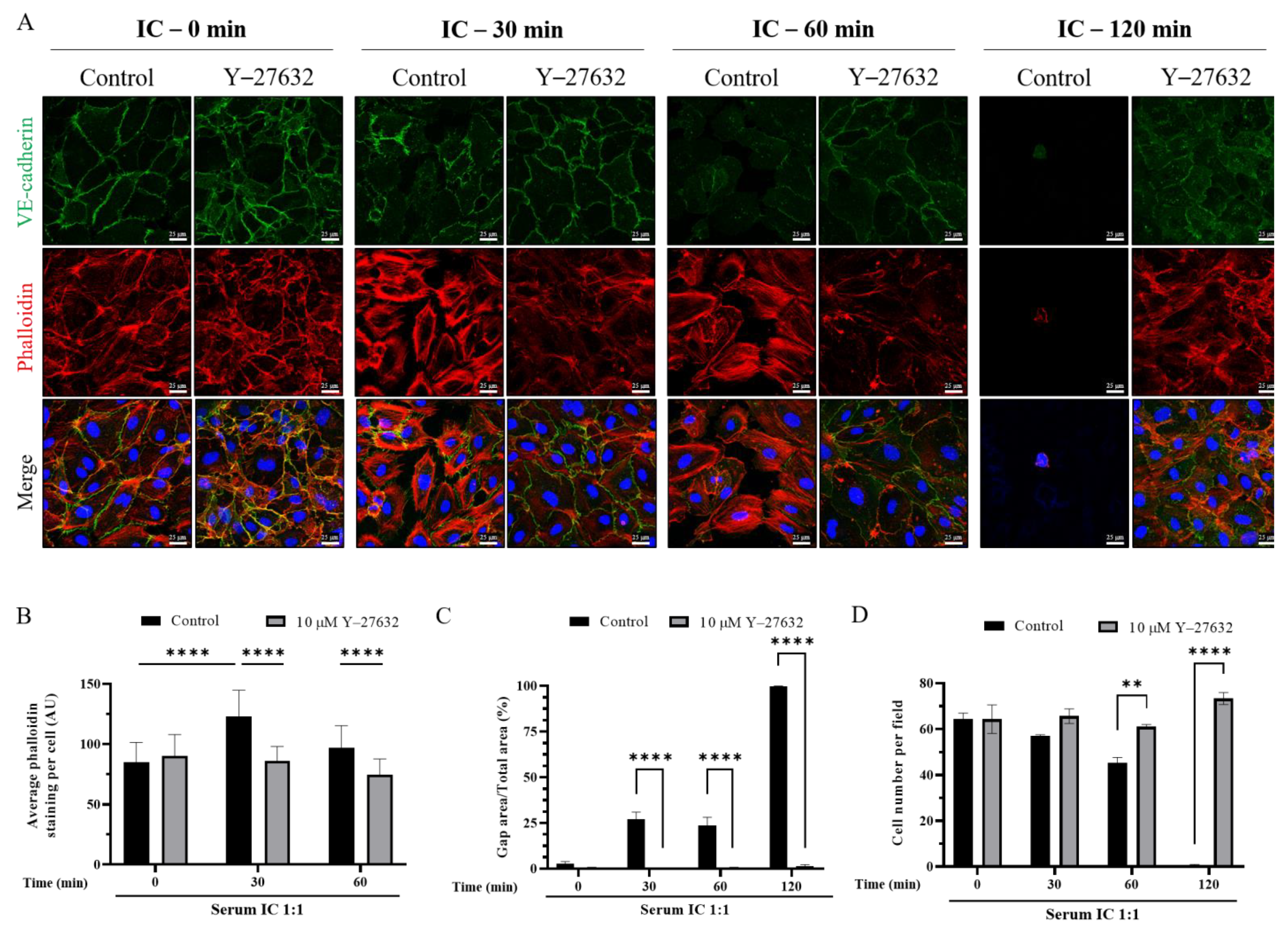 Biomedicines 09 01851 g006