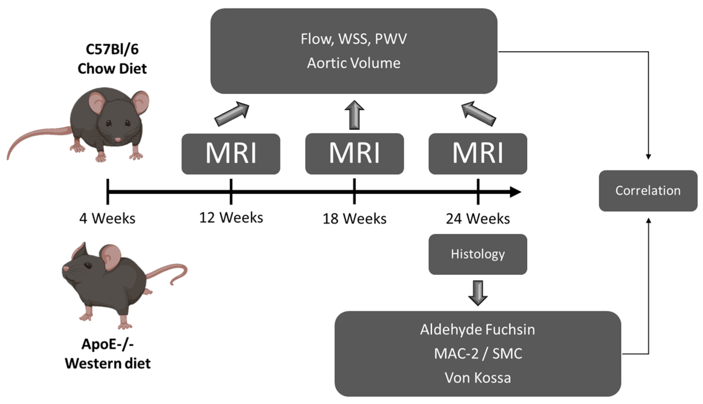 Biomedicines 09 01856 g001