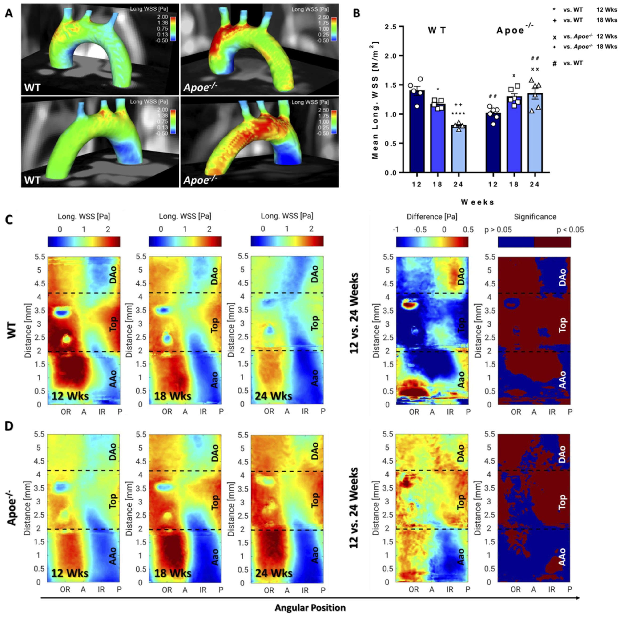 Biomedicines 09 01856 g004