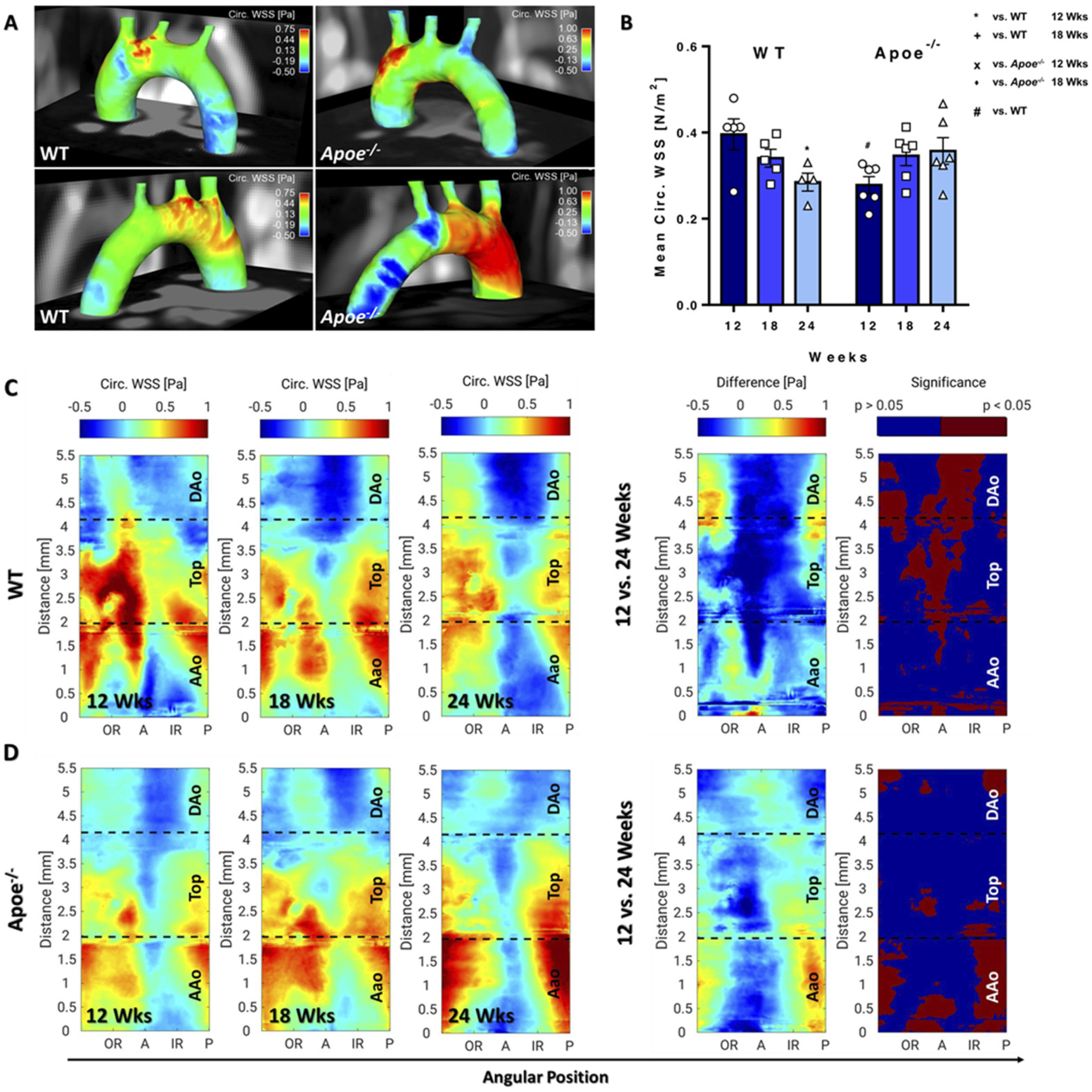 Biomedicines 09 01856 g005