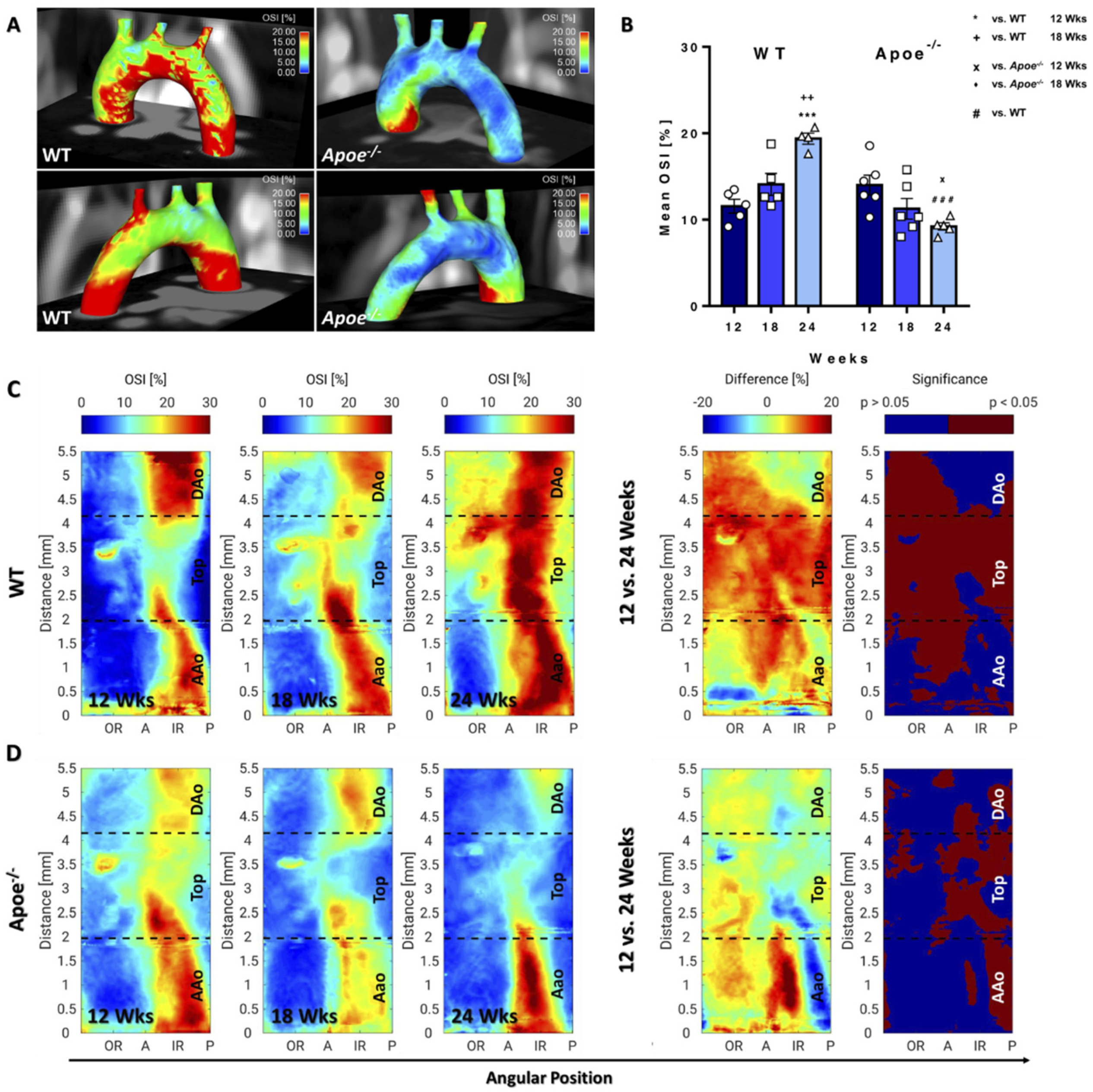 Biomedicines 09 01856 g006