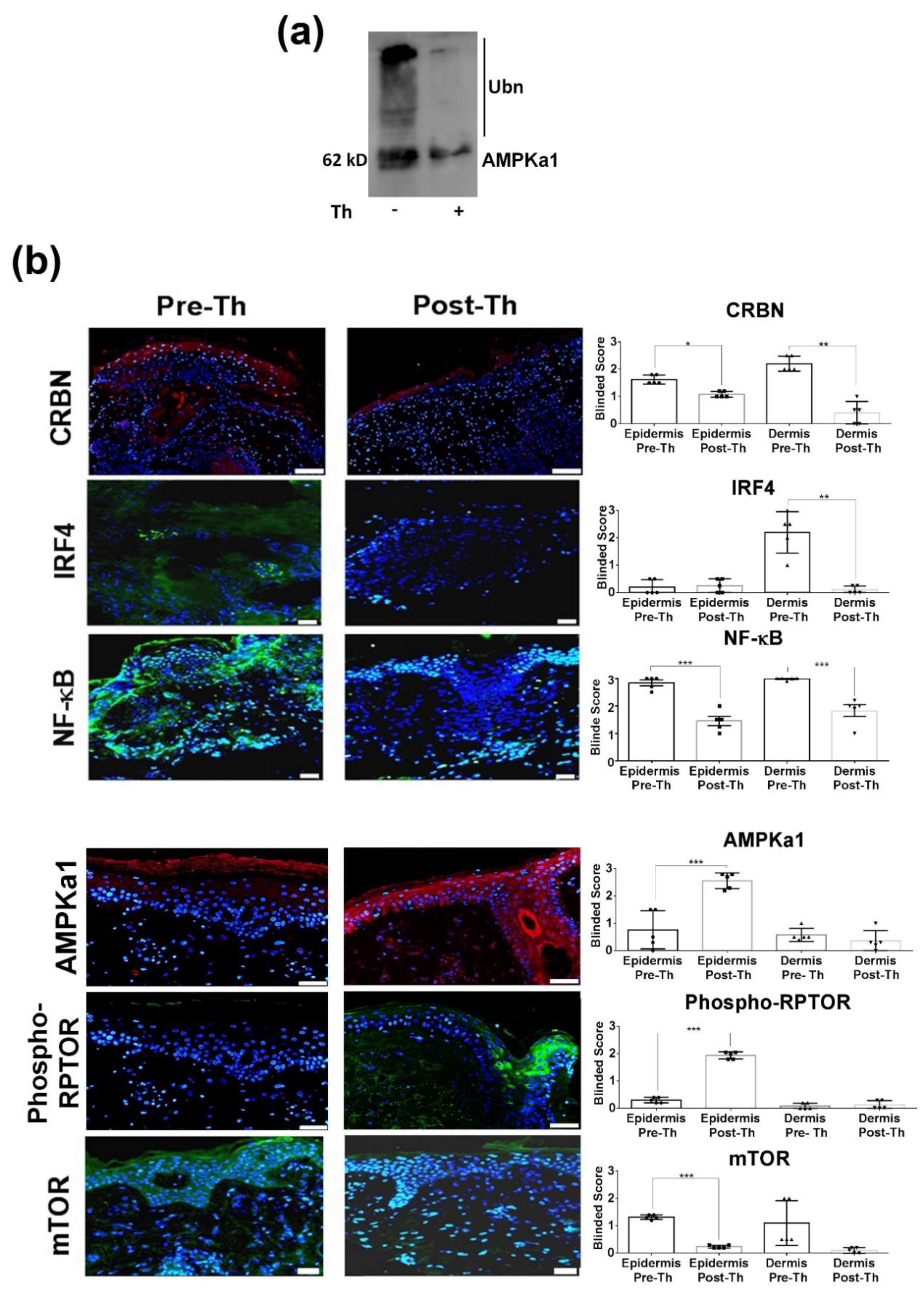 Biomedicines 09 01857 g003