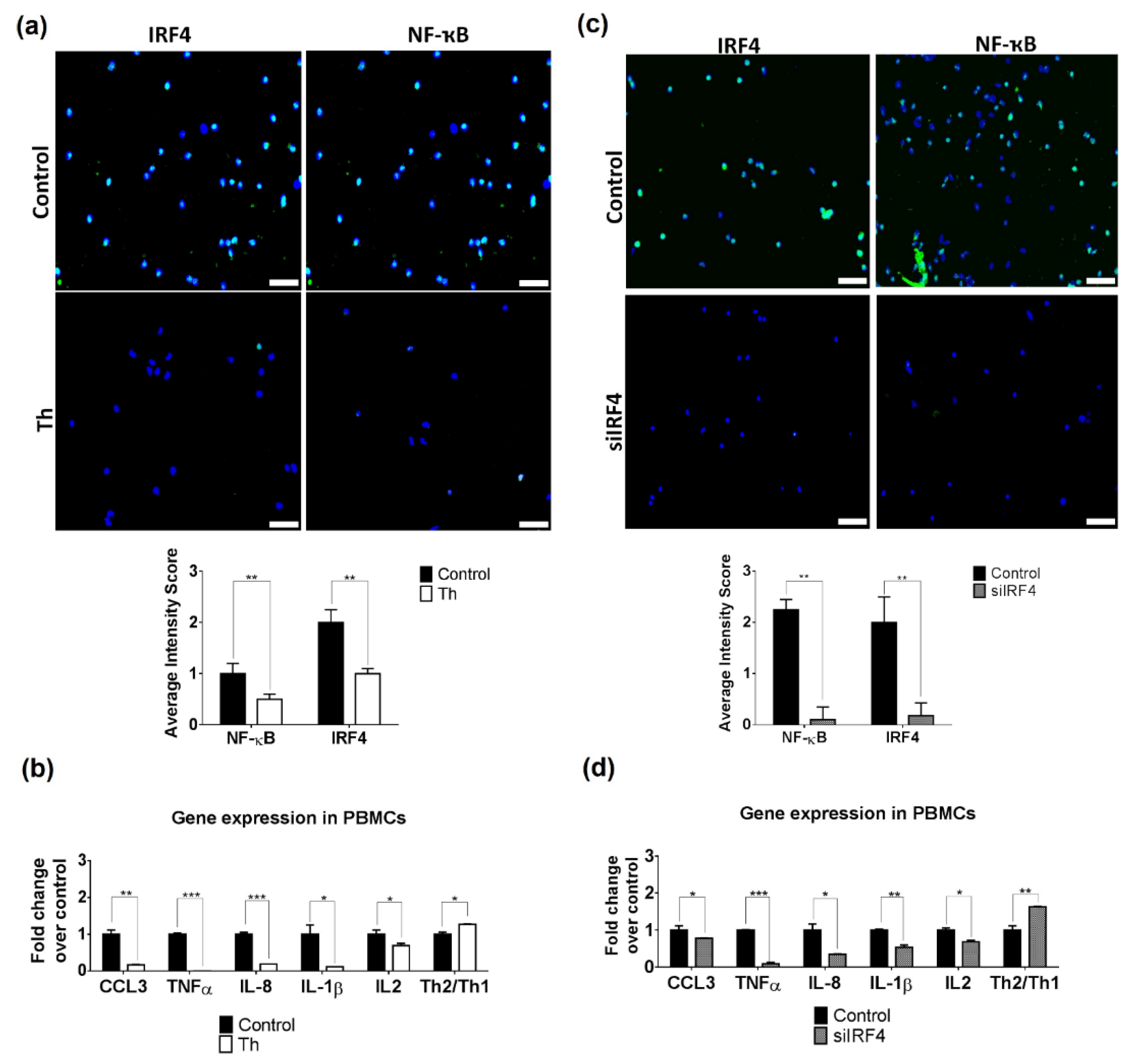 Biomedicines 09 01857 g004