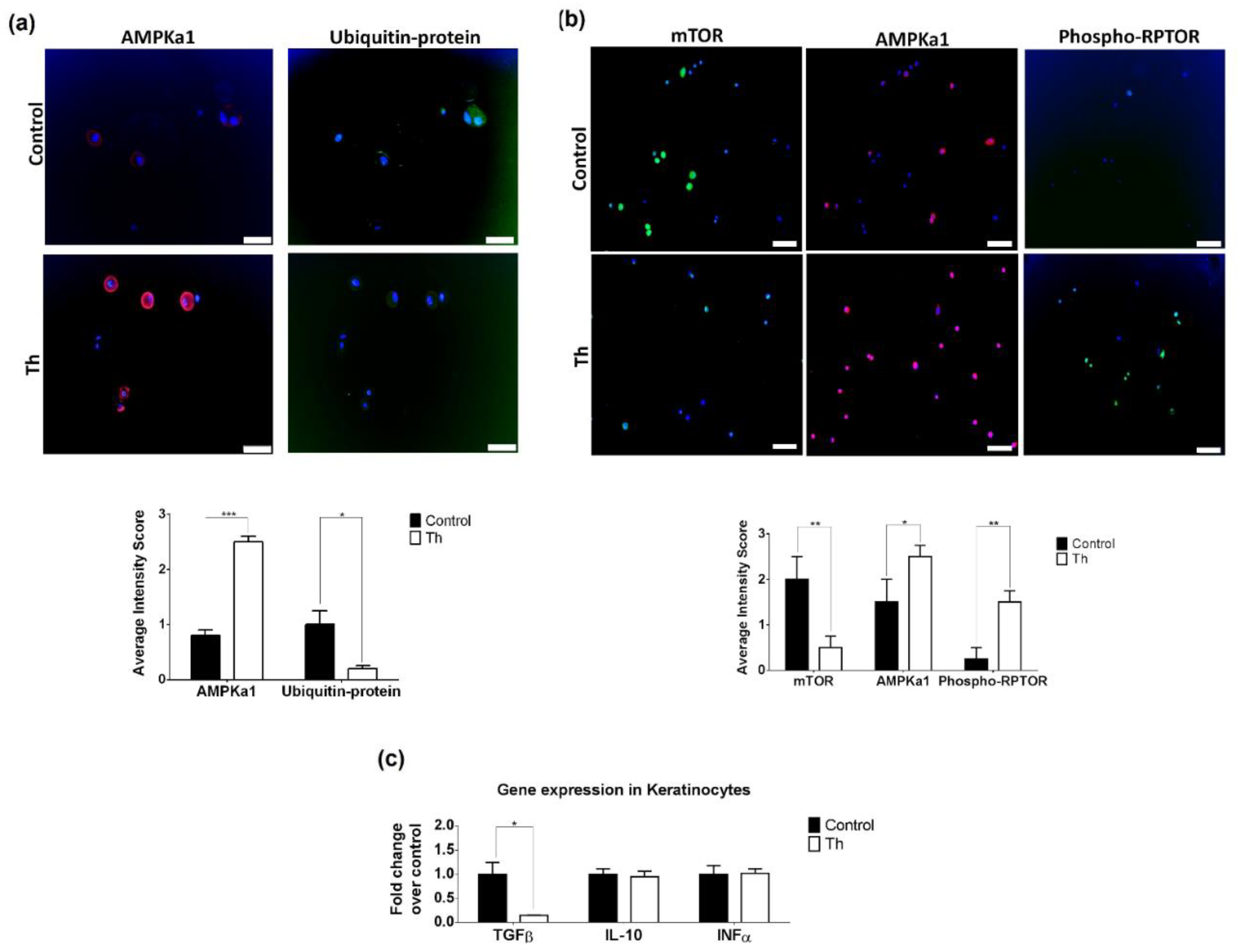 Biomedicines 09 01857 g005