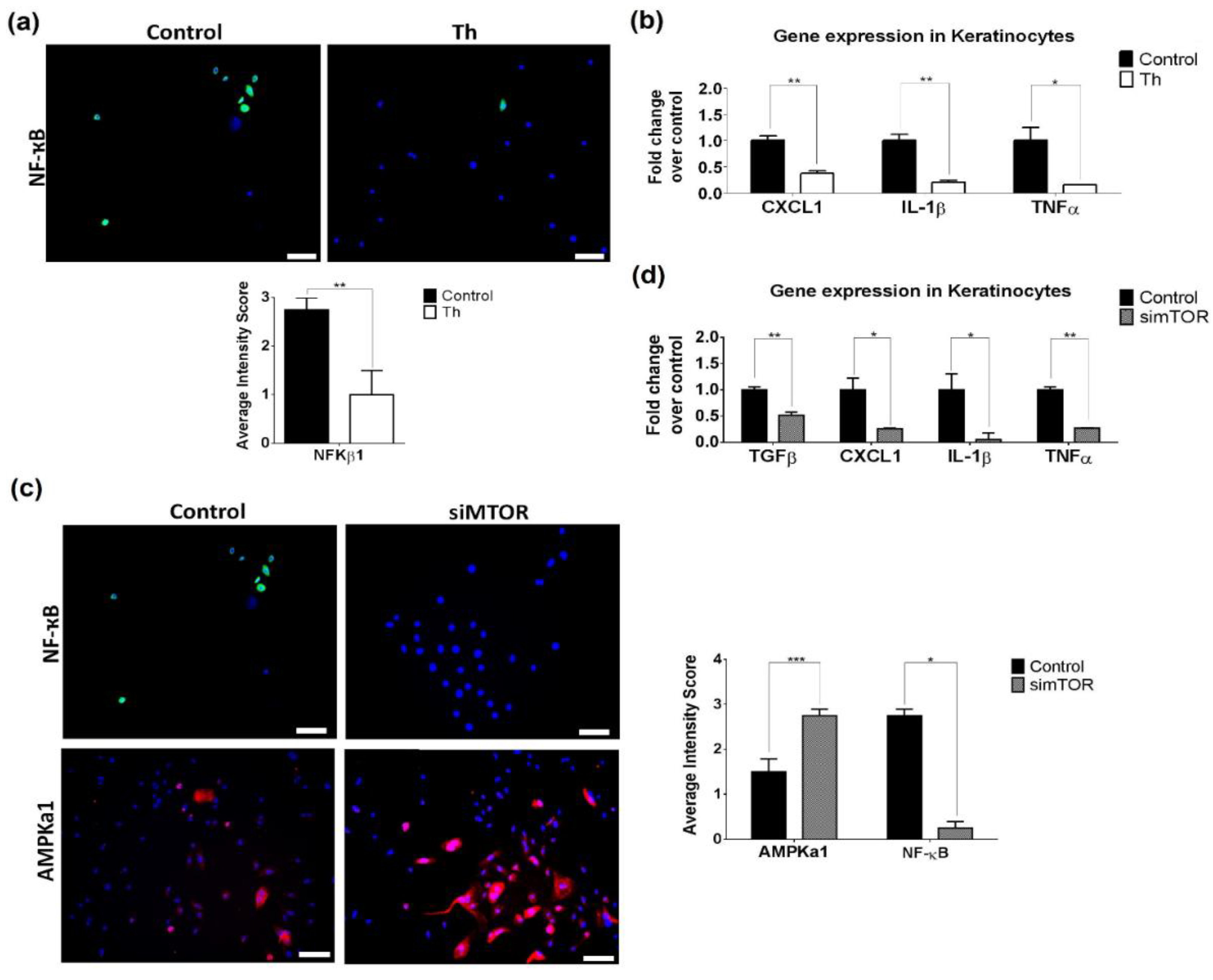 Biomedicines 09 01857 g006