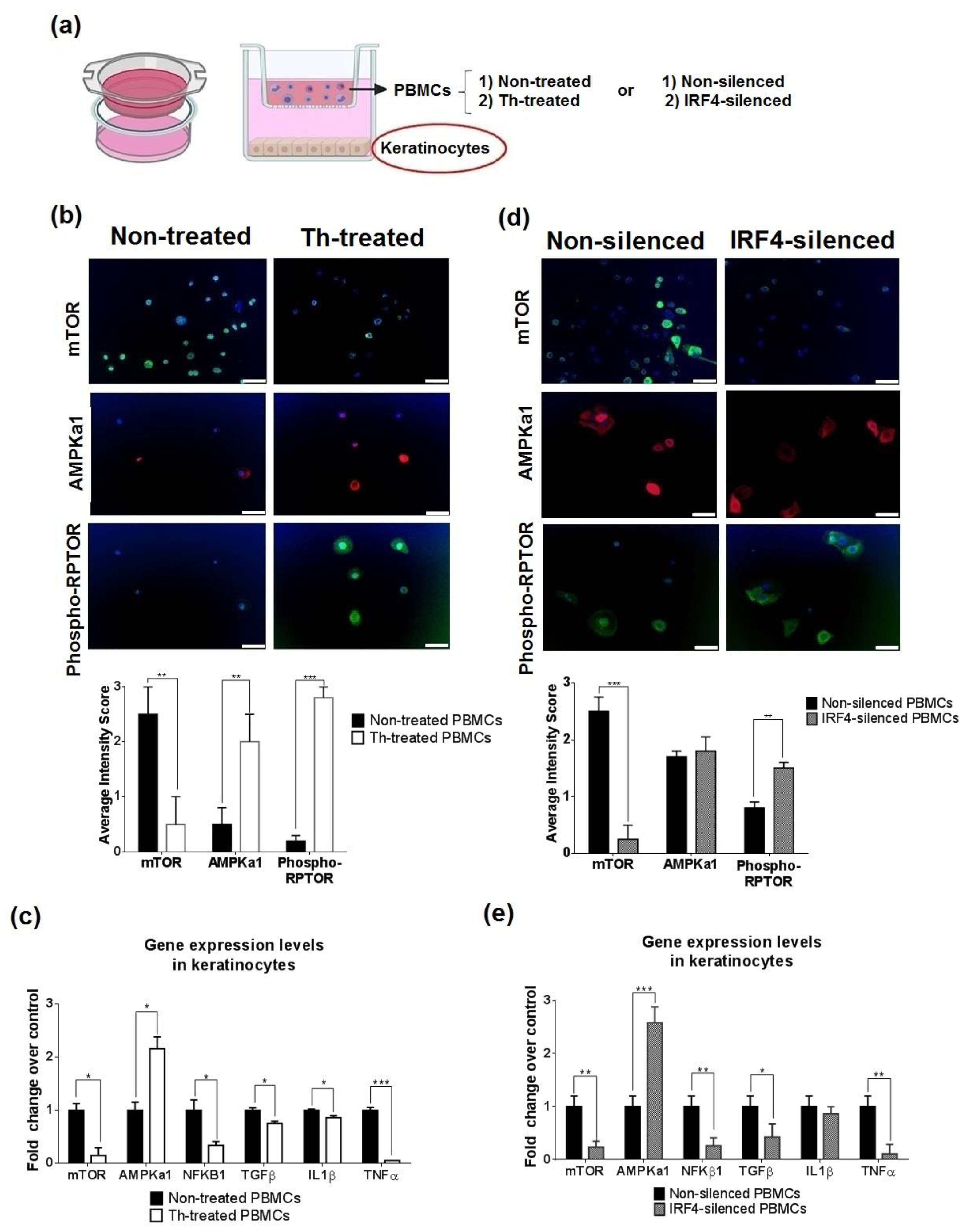 Biomedicines 09 01857 g007