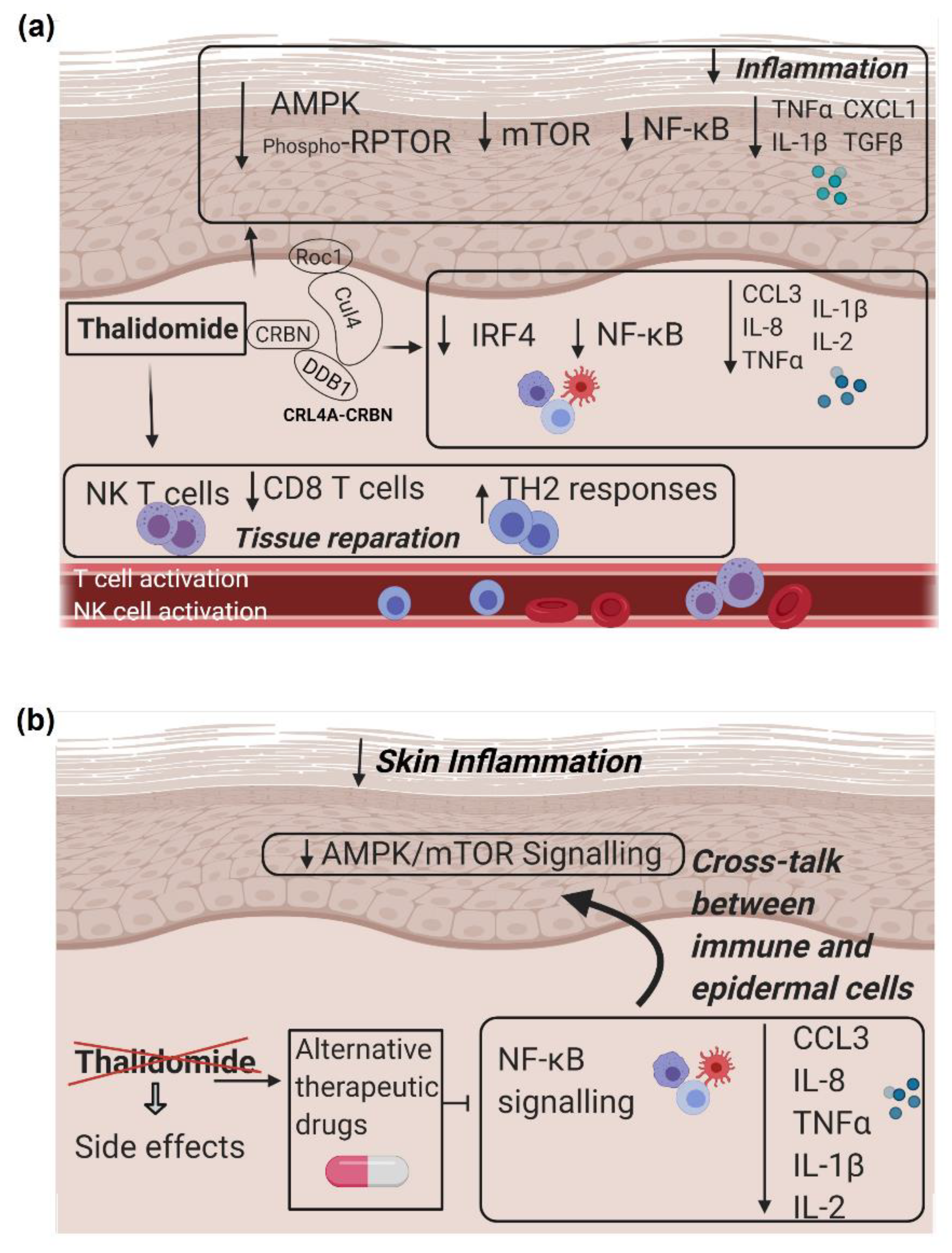Biomedicines 09 01857 g008