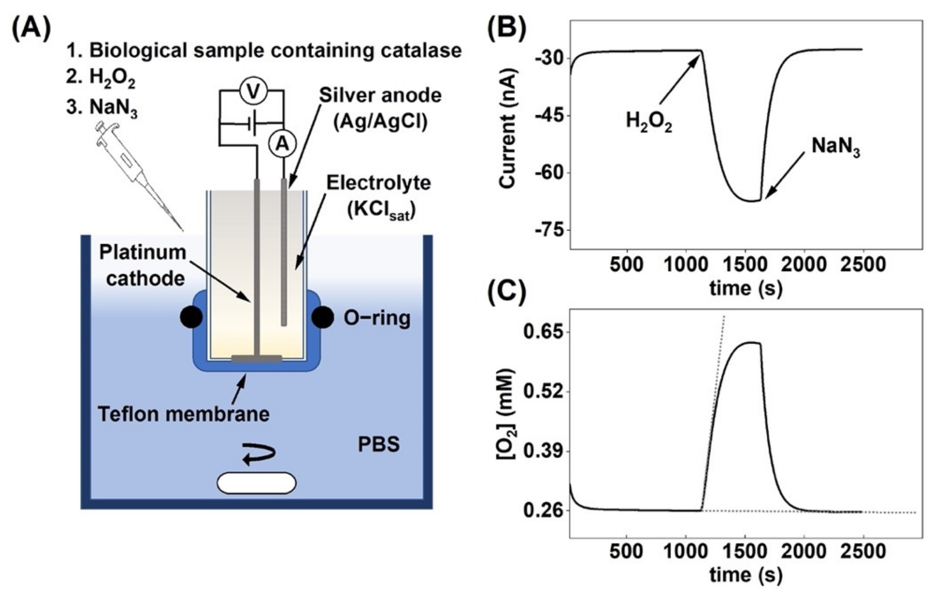 Biomedicines 09 01868 g001