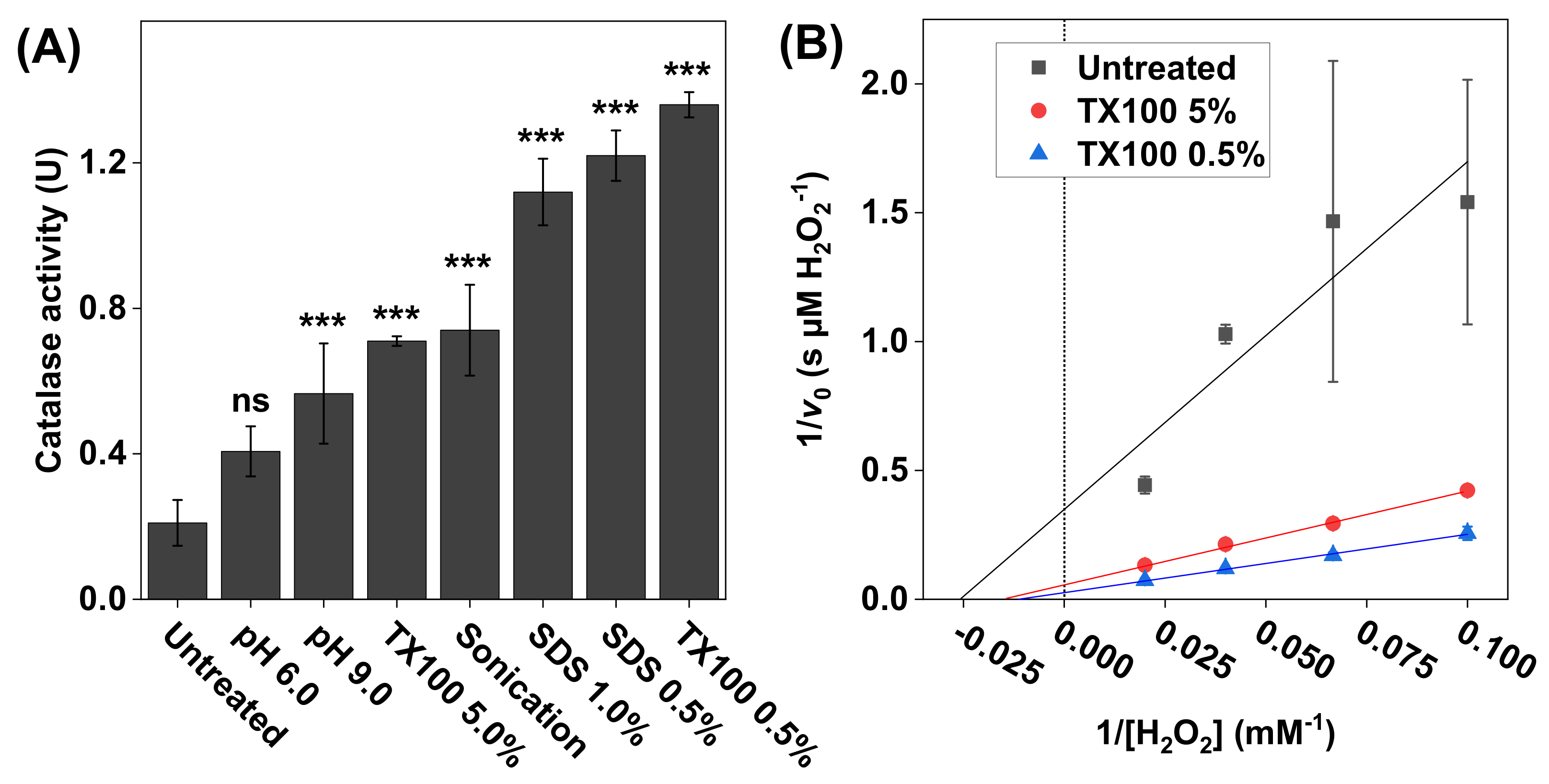 Biomedicines 09 01868 g003