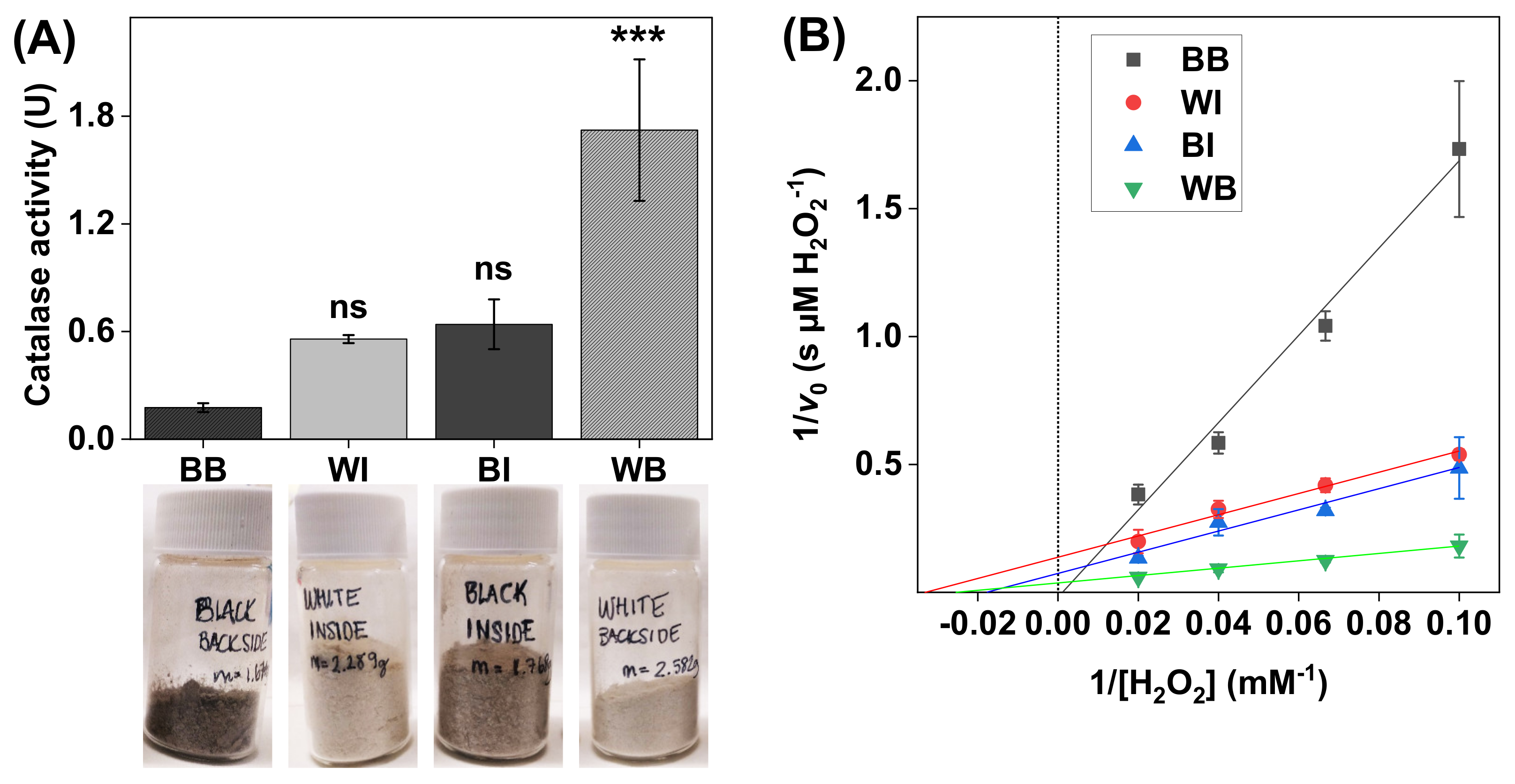 Biomedicines 09 01868 g004