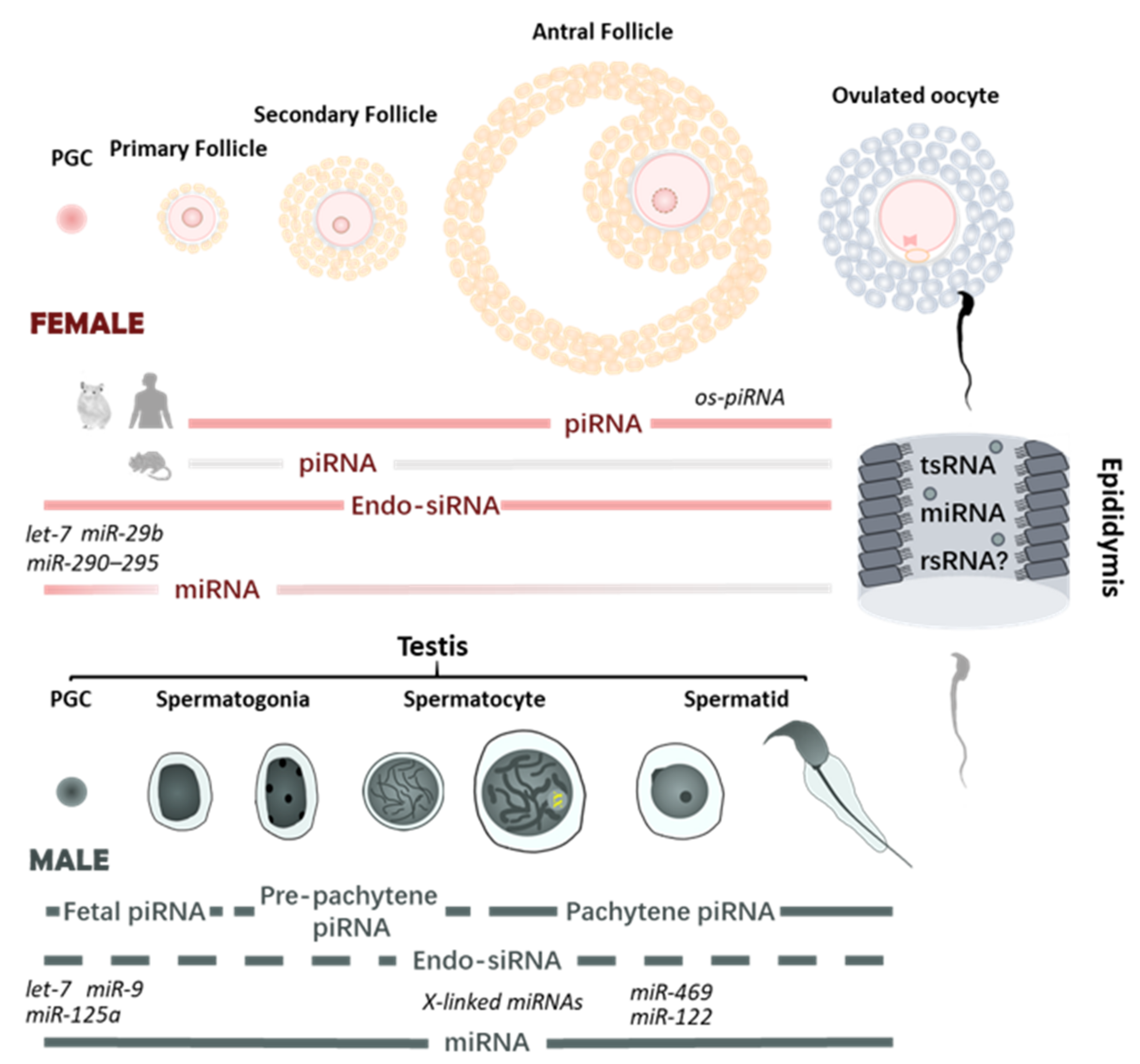 Biomedicines 09 01884 g001