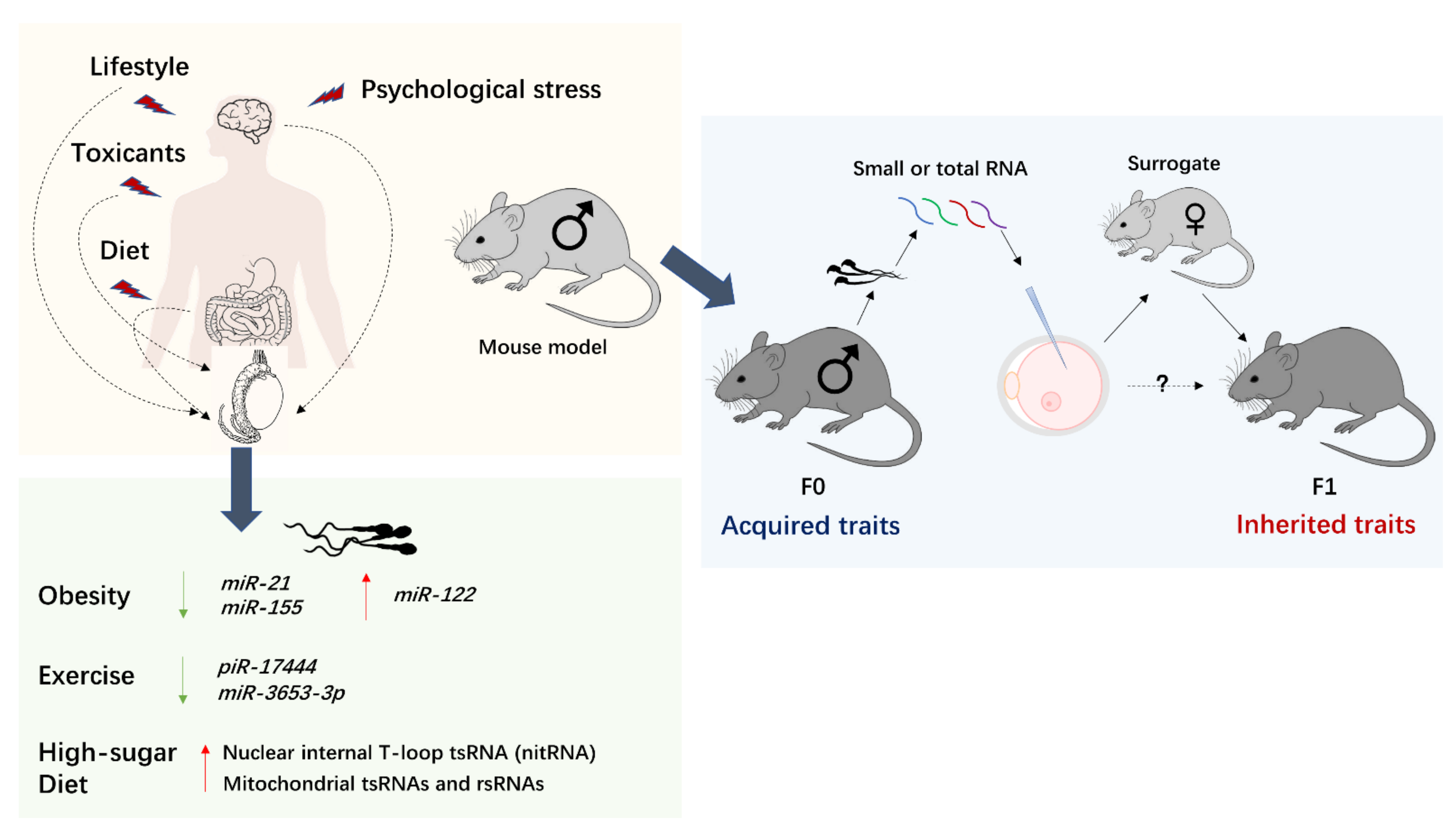 Biomedicines 09 01884 g002
