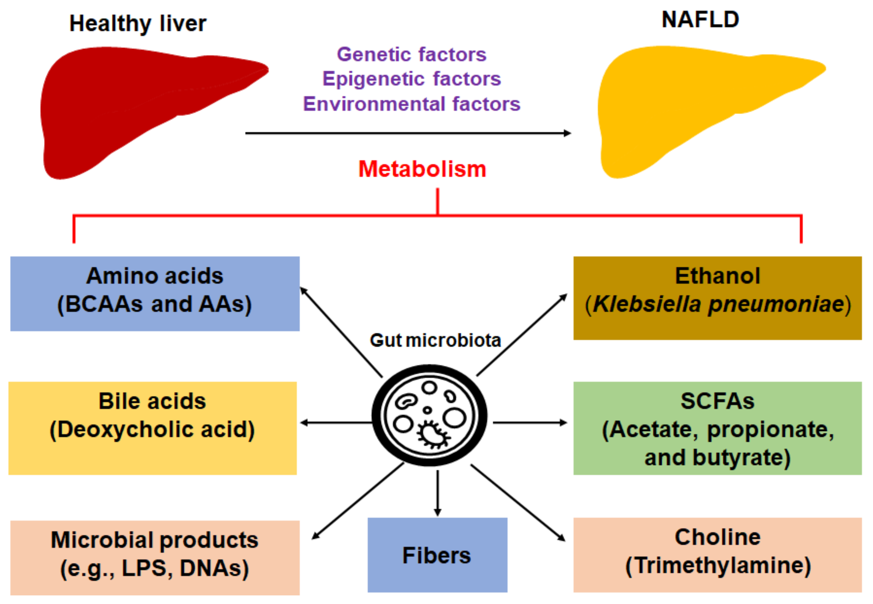 Biomedicines 09 01893 g001
