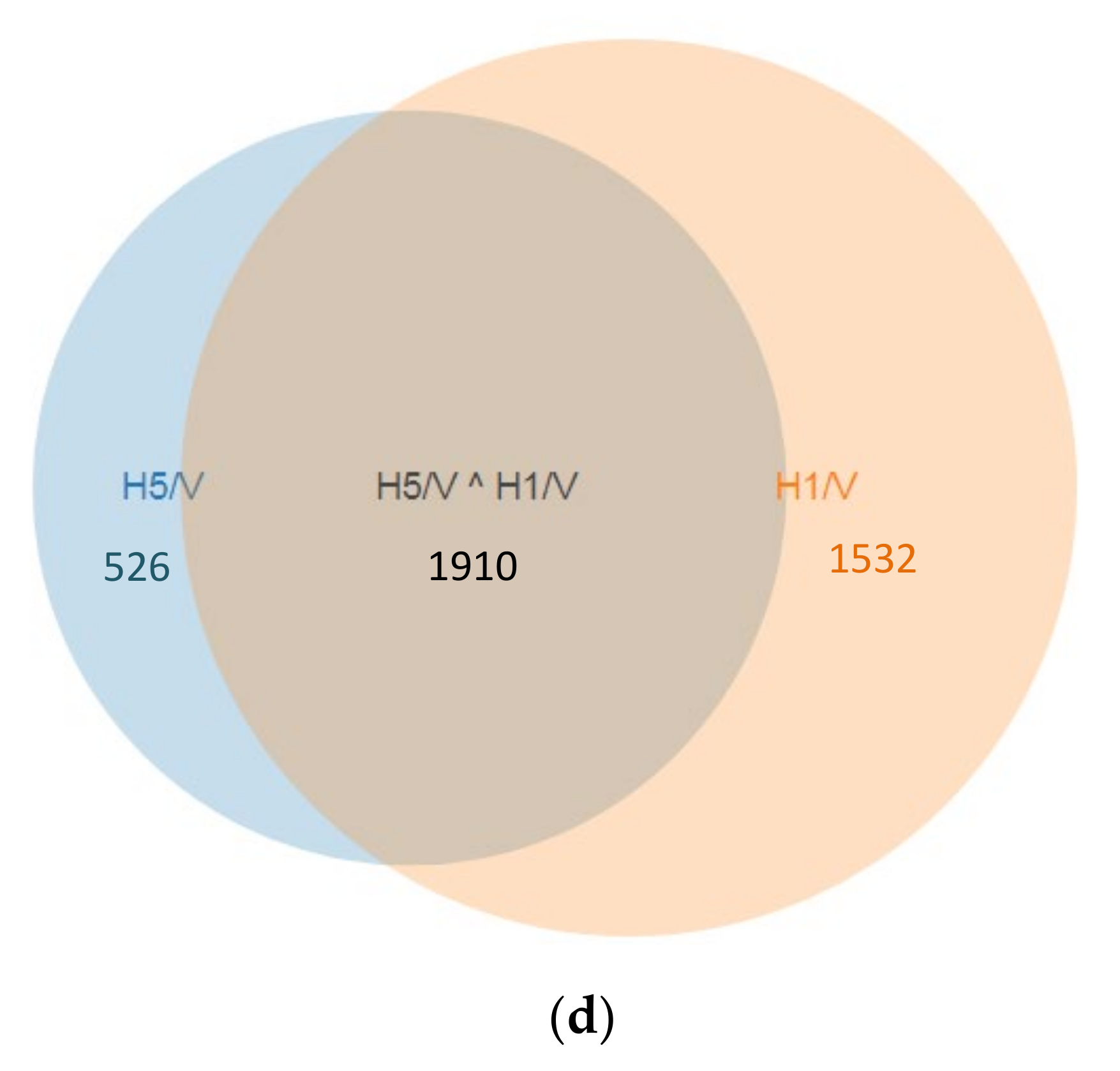 Biomedicines 09 01907 g001b Biomedicines 09 01907 g001b
