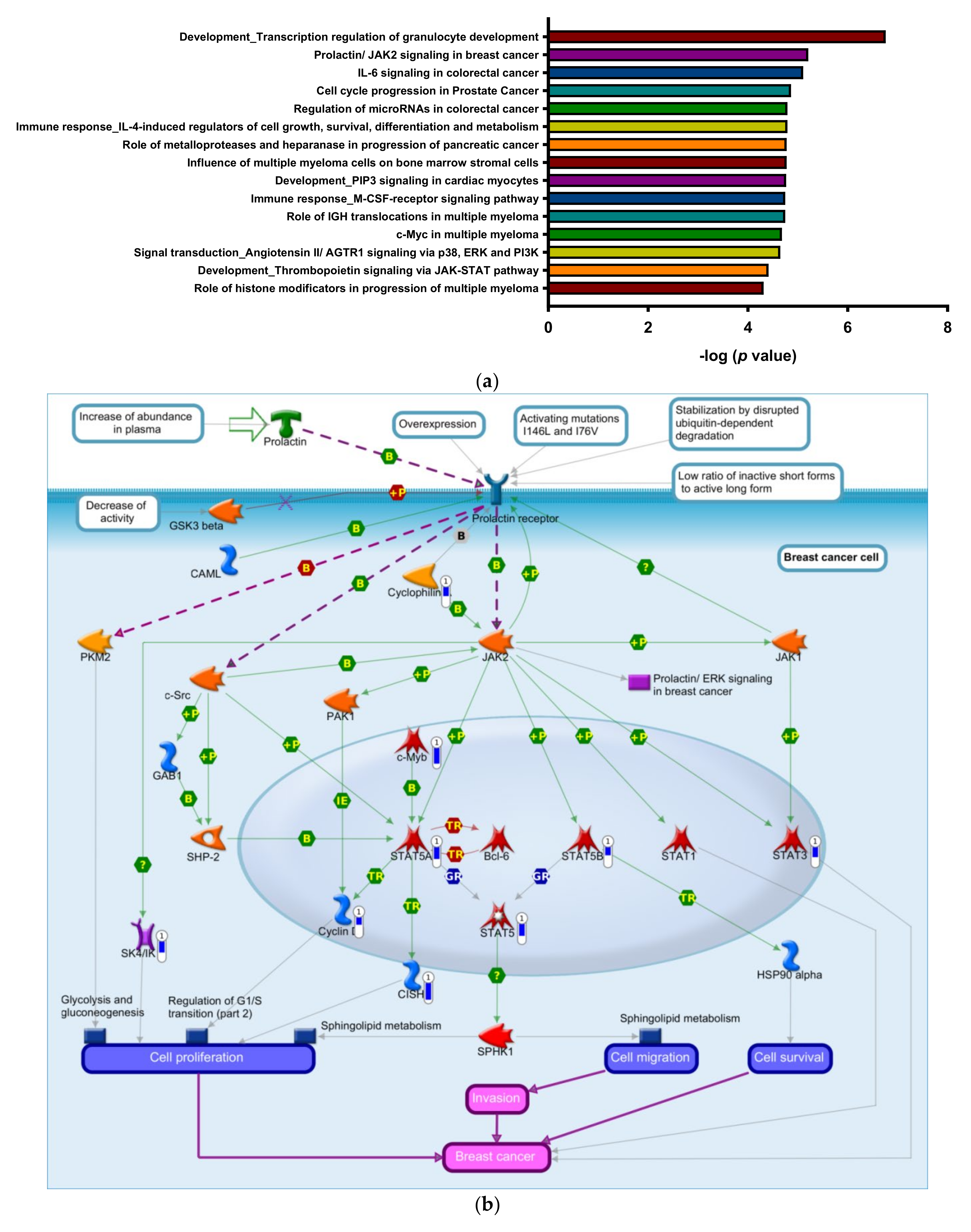 Biomedicines 09 01907 g002a Biomedicines 09 01907 g002a