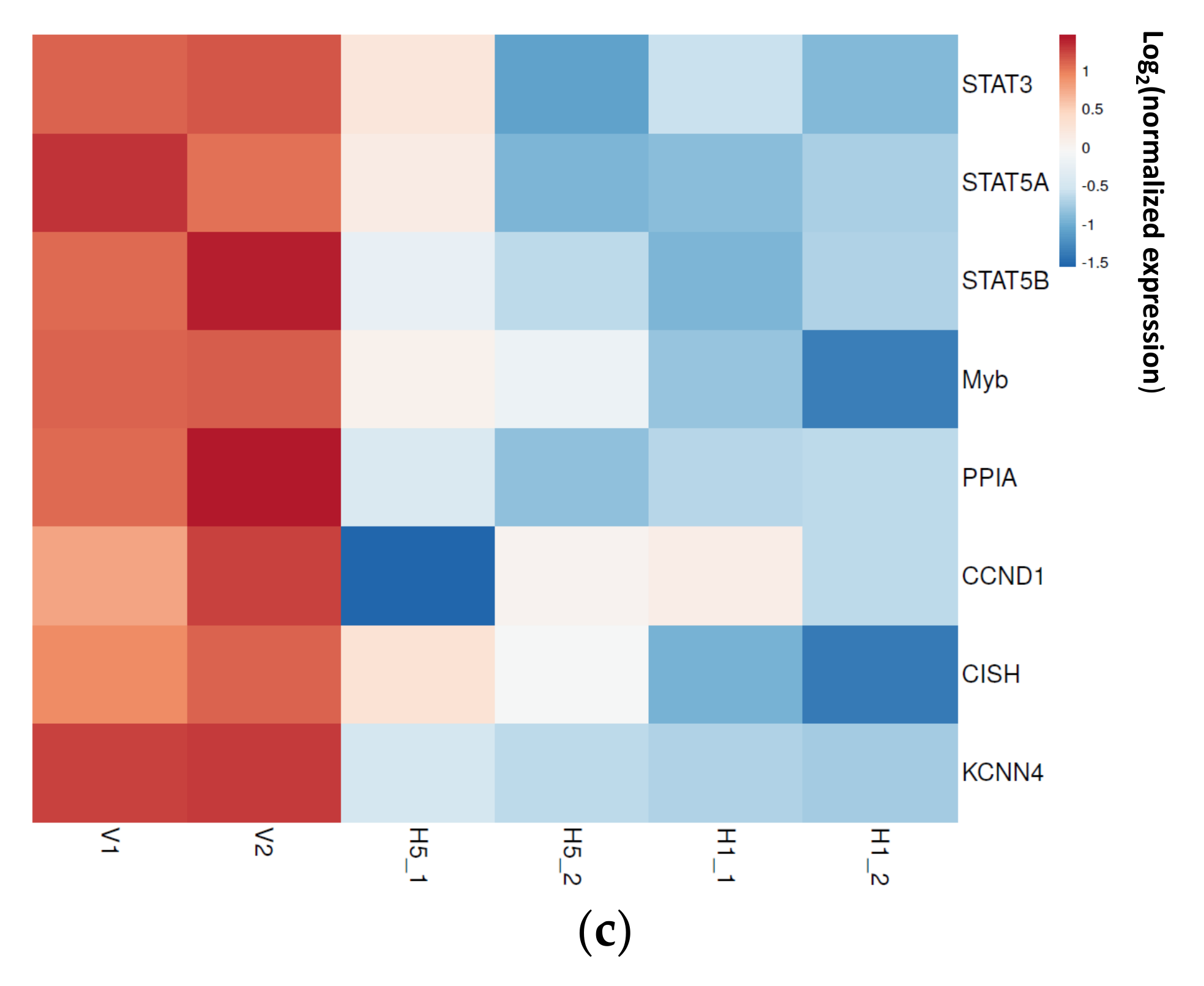 Biomedicines 09 01907 g002b Biomedicines 09 01907 g002b