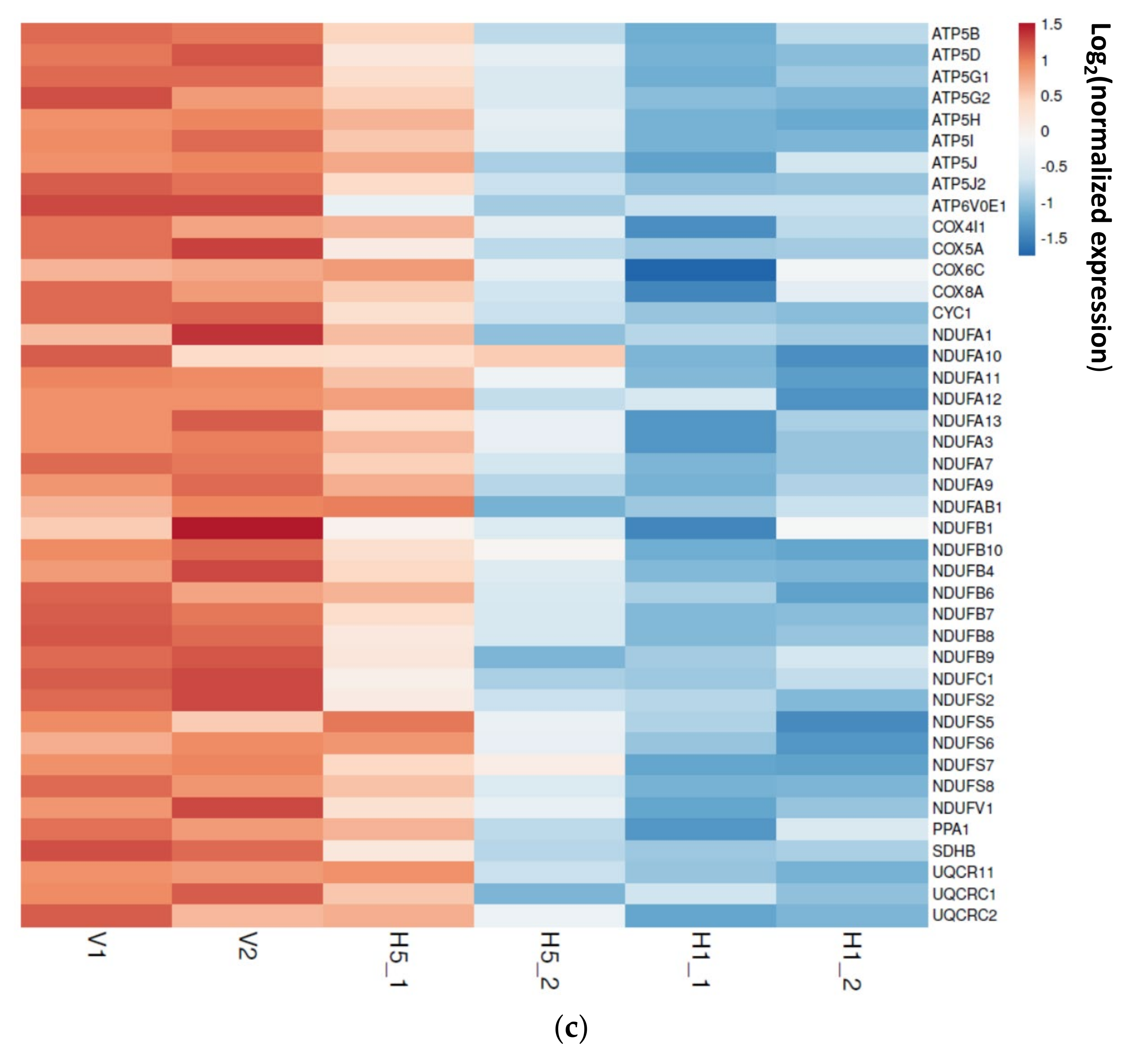 Biomedicines 09 01907 g006b Biomedicines 09 01907 g006b