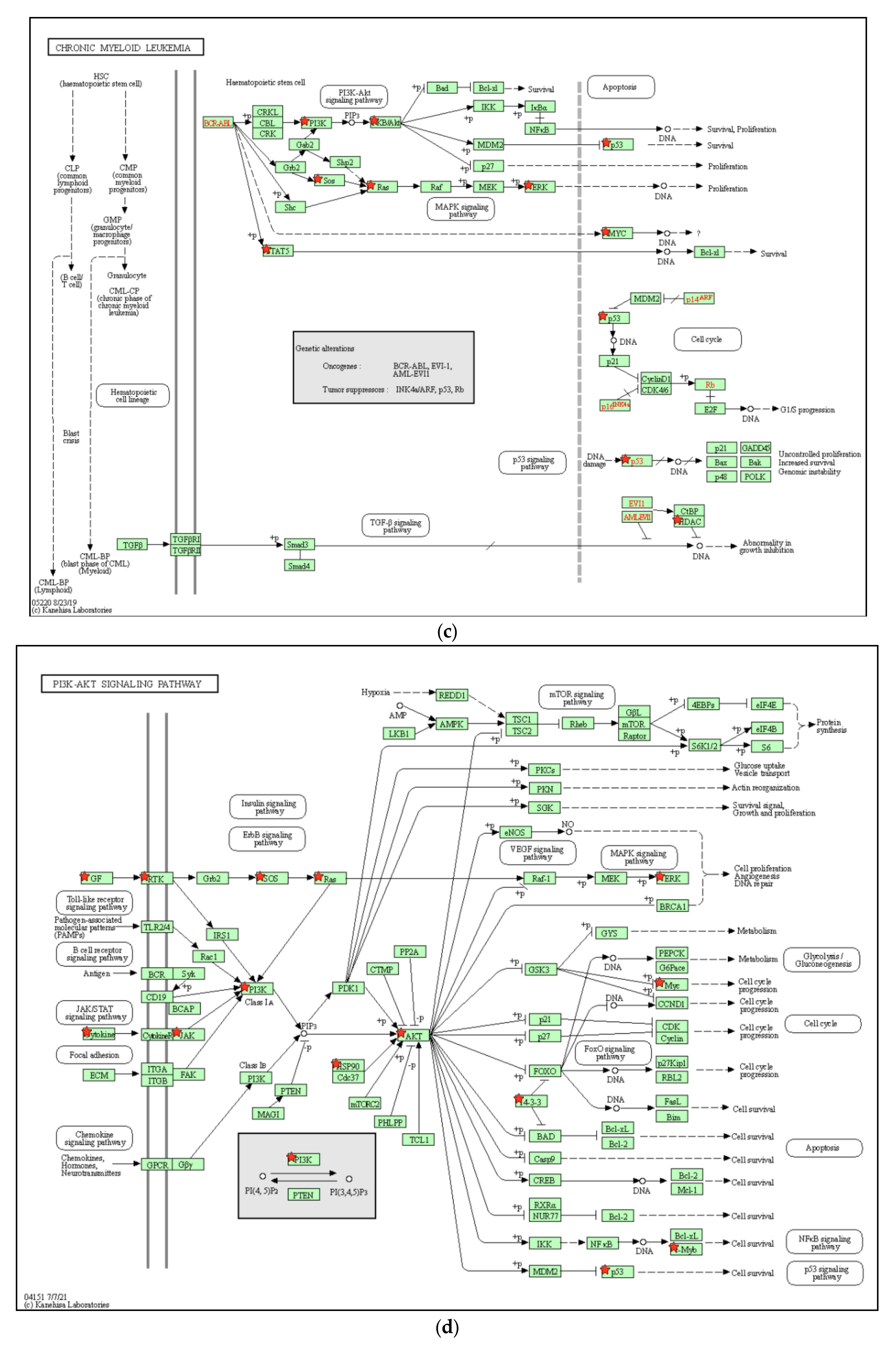 Biomedicines 09 01907 g008b Biomedicines 09 01907 g008b