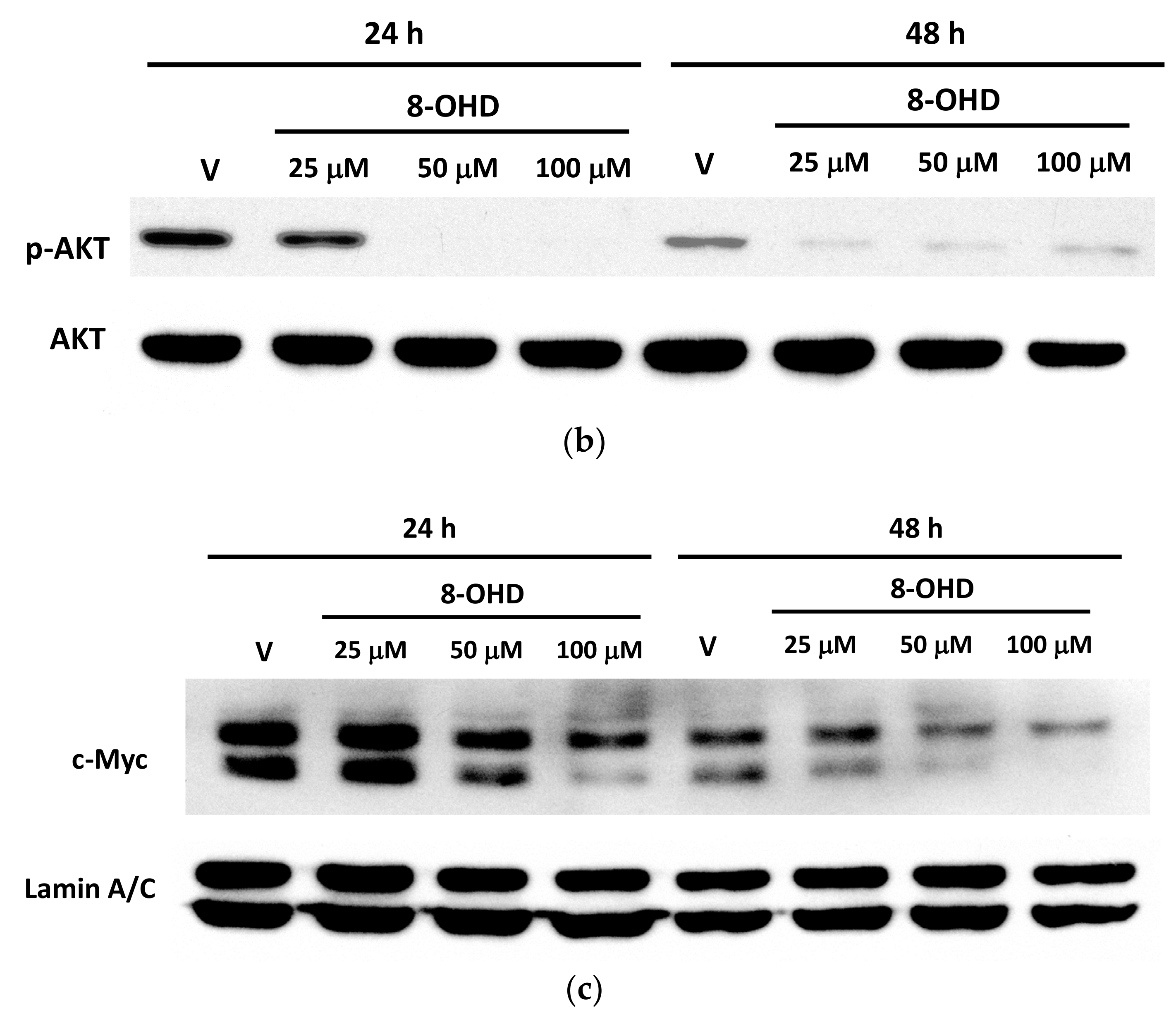Biomedicines 09 01907 g009b Biomedicines 09 01907 g009b