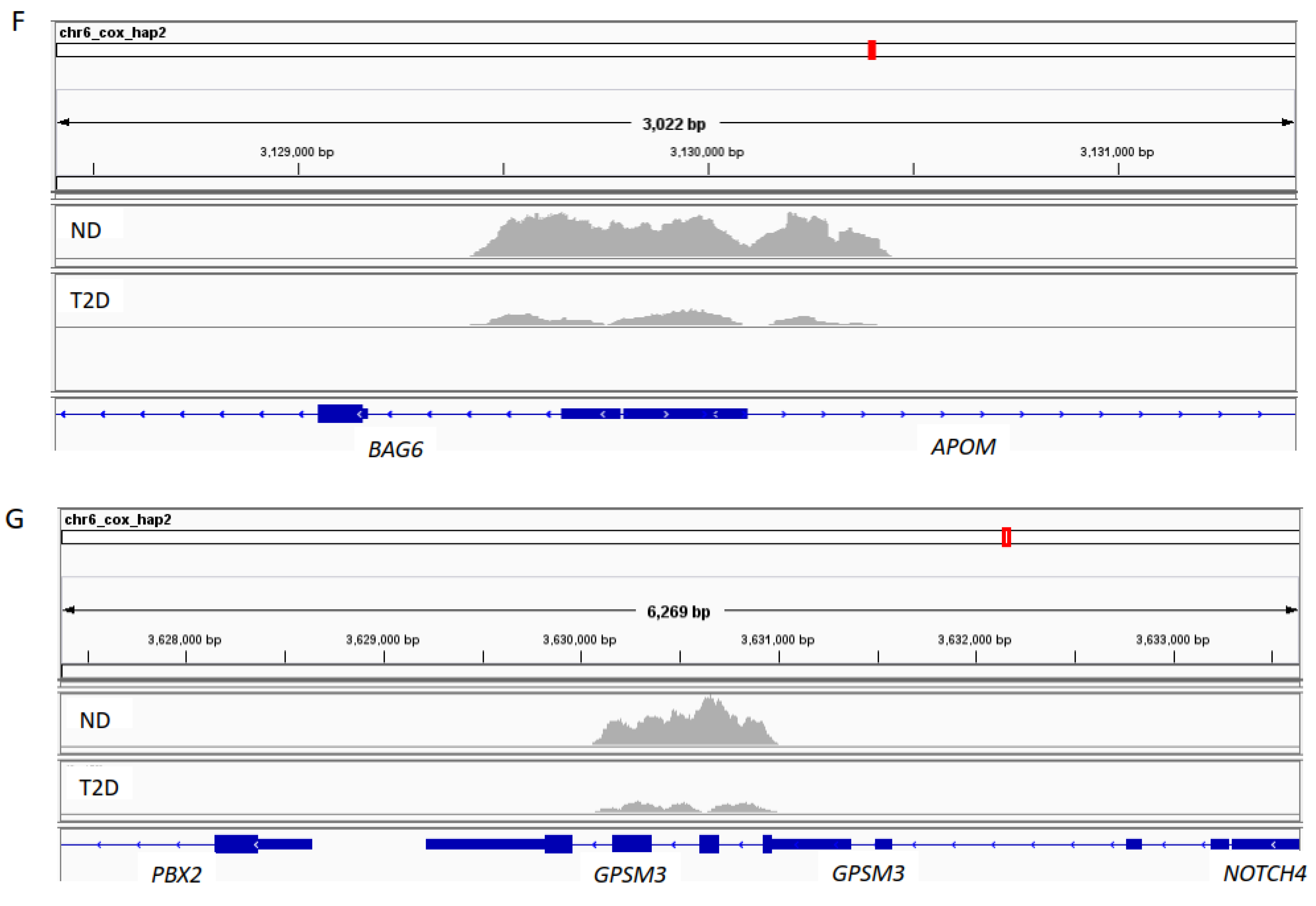 Biomedicines 09 01908 g003c