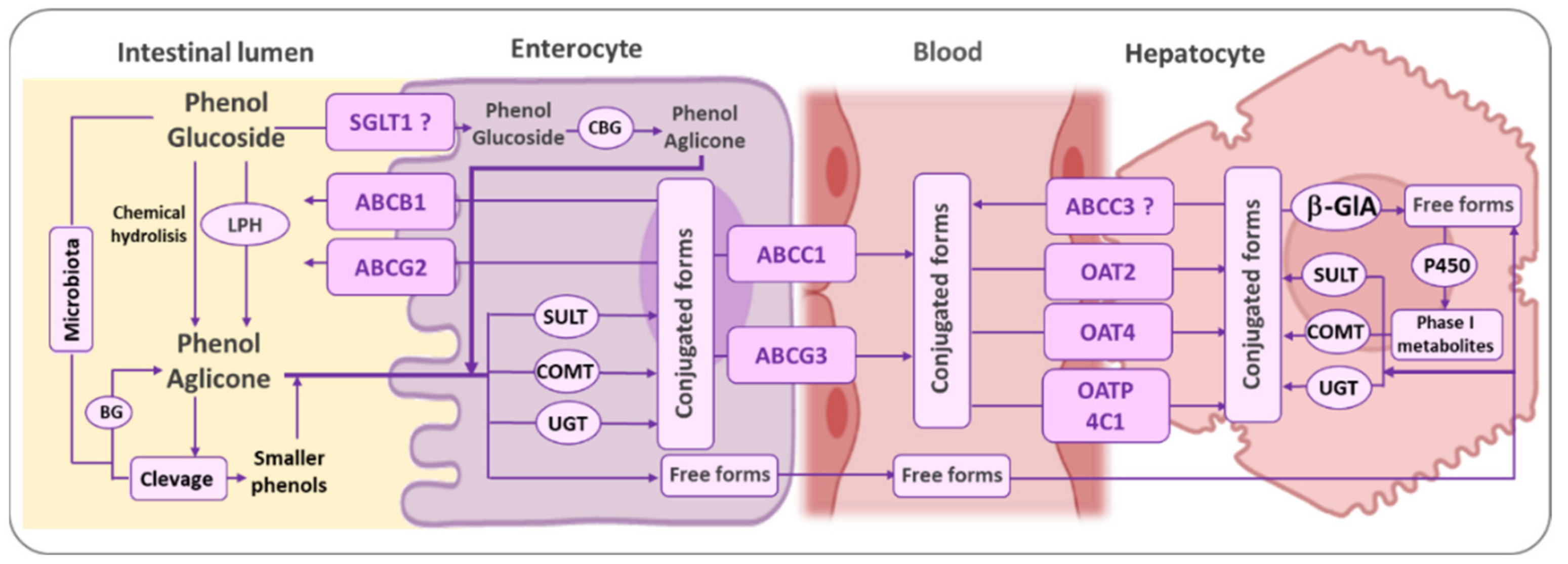 Biomedicines 09 01909 g002 Biomedicines 09 01909 g002