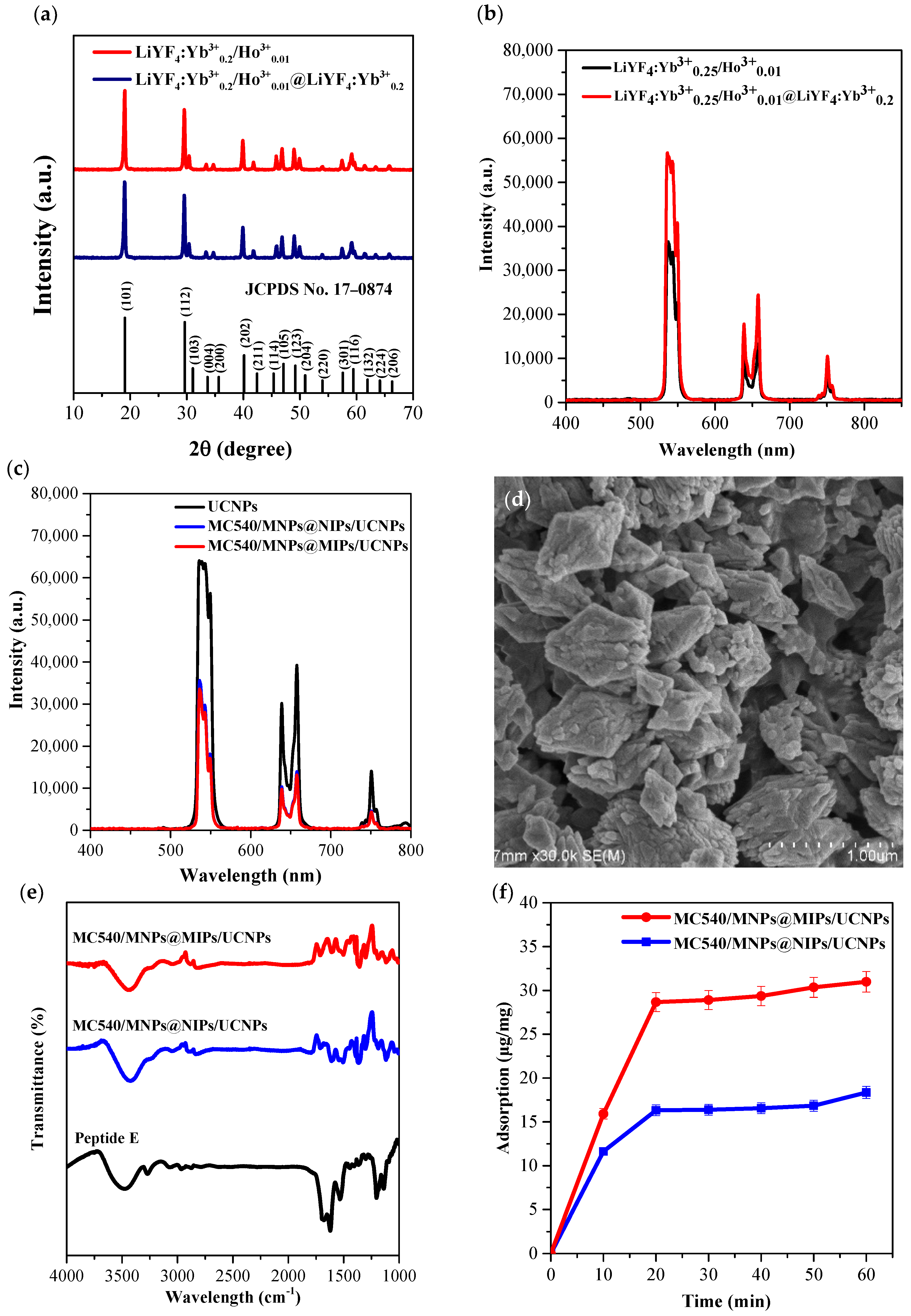 Biomedicines 09 01923 g002