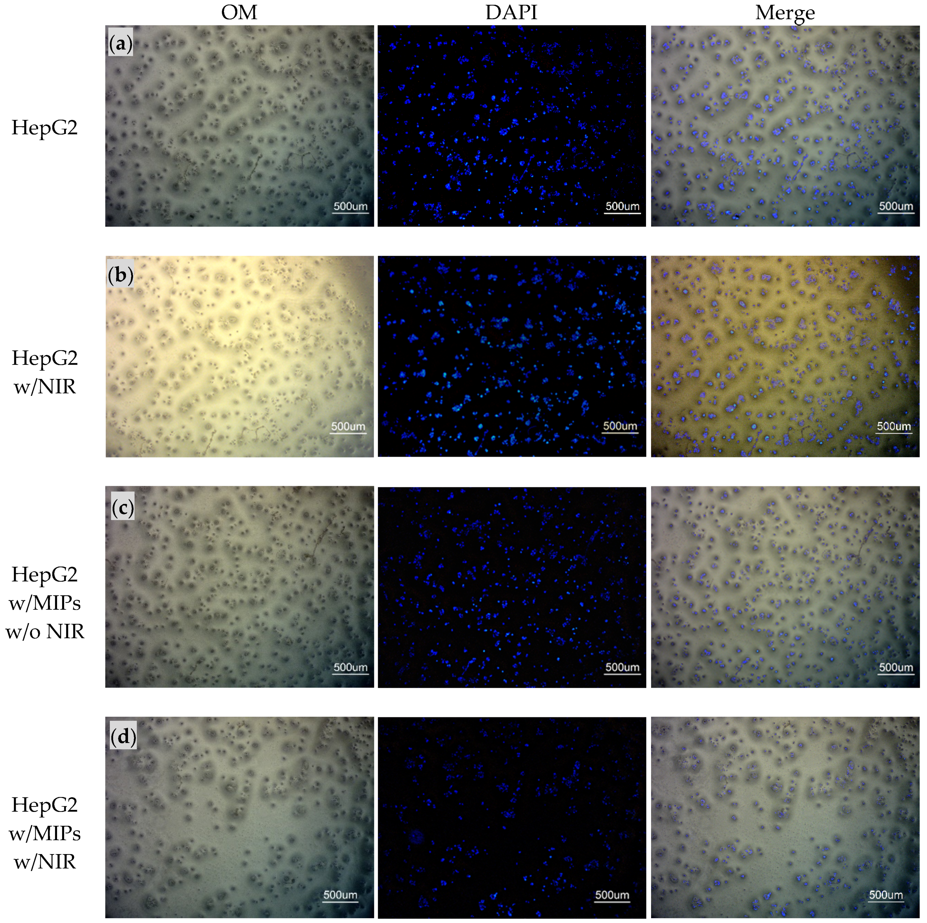 Biomedicines 09 01923 g004
