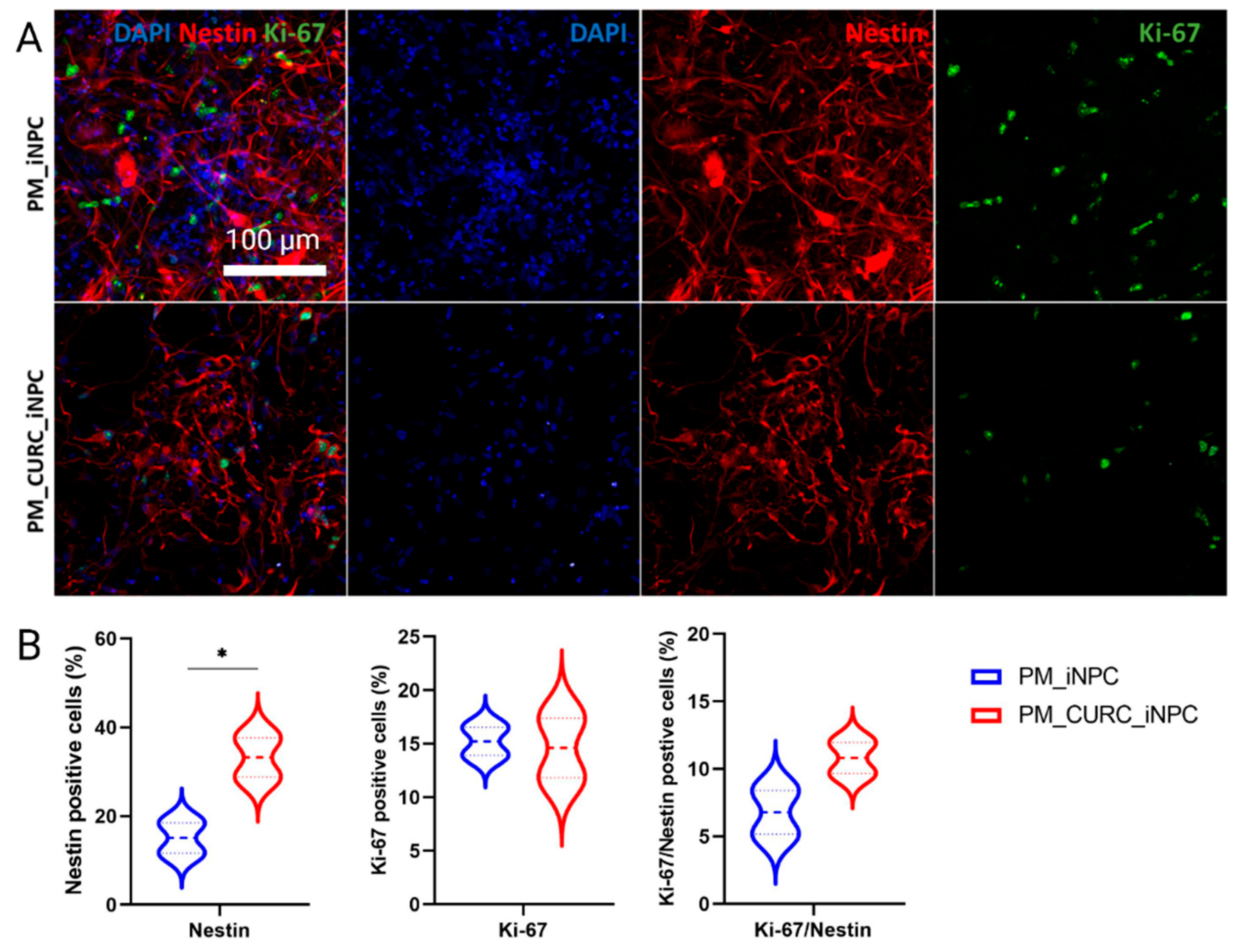 Biomedicines 09 01928 g002