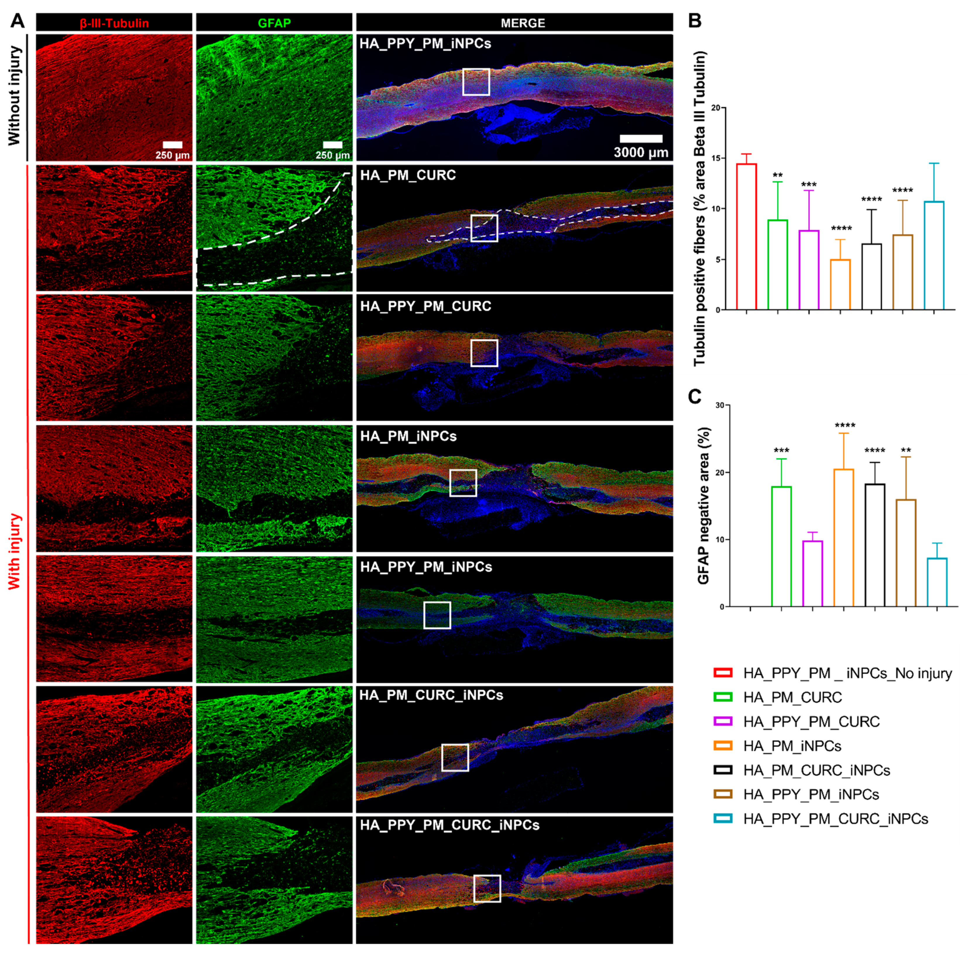 Biomedicines 09 01928 g007