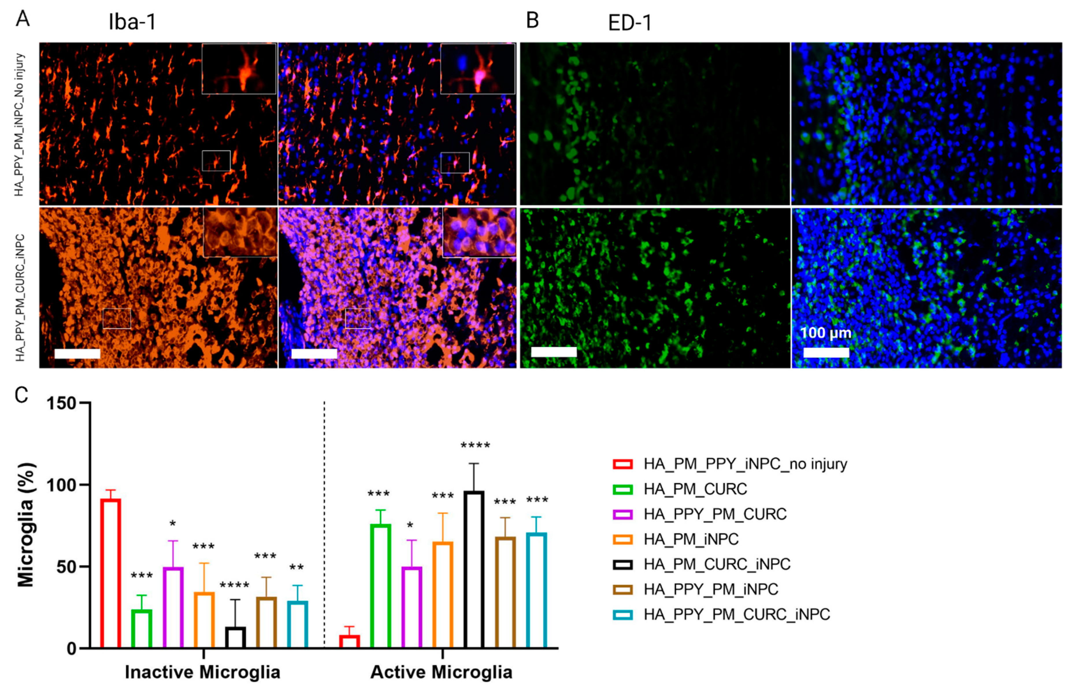 Biomedicines 09 01928 g008
