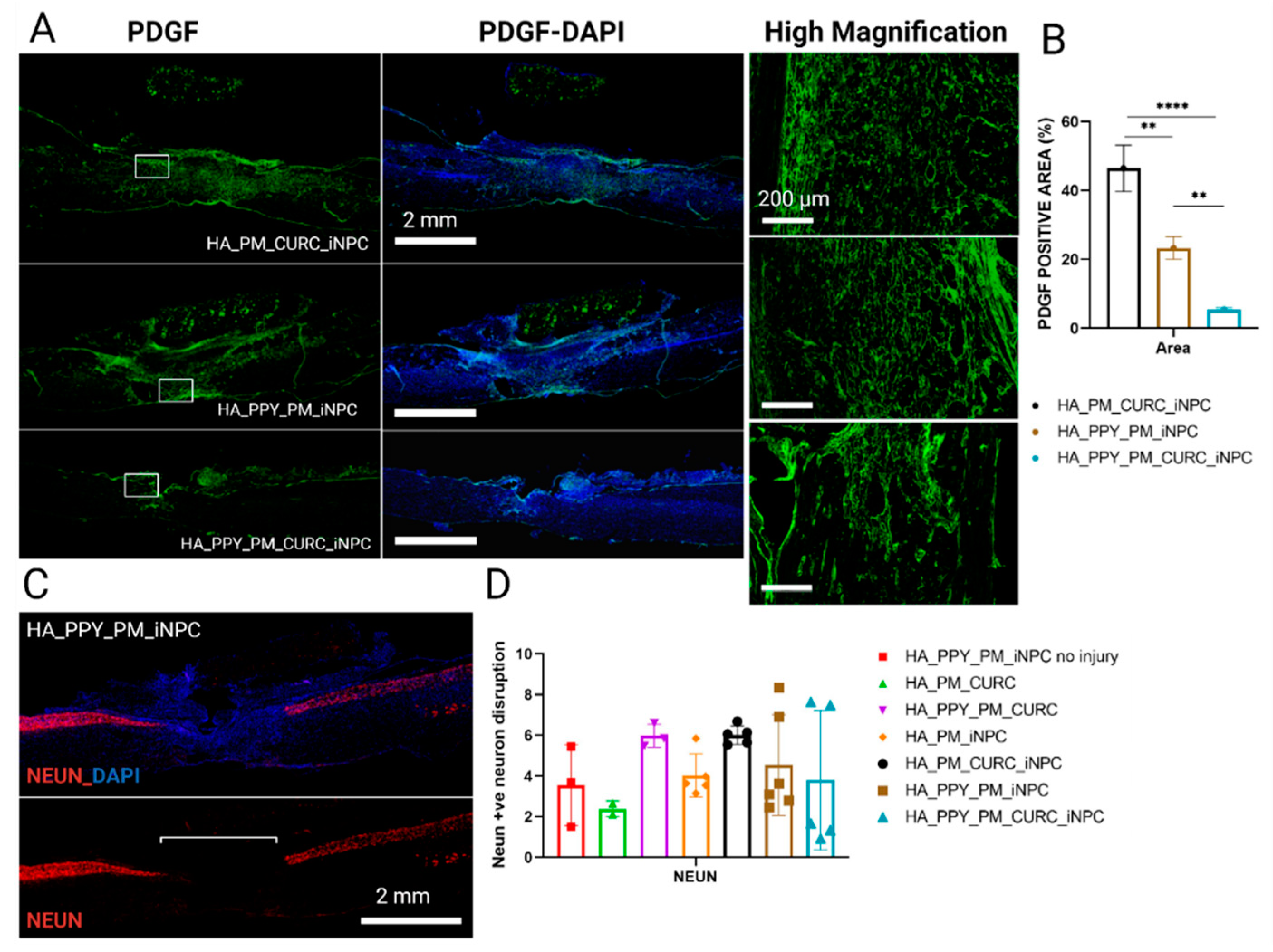 Biomedicines 09 01928 g009
