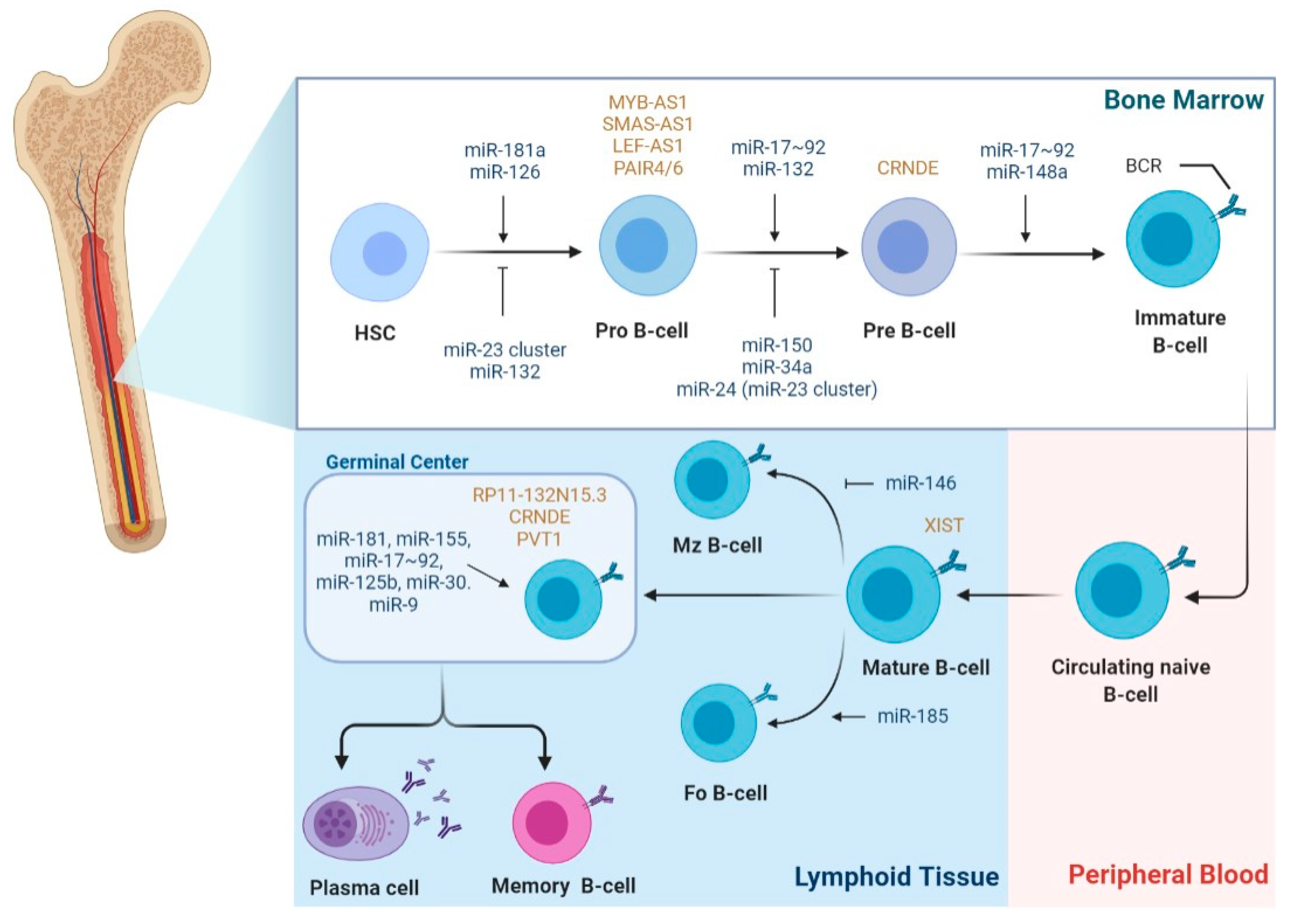 Biomedicines 09 01934 g002