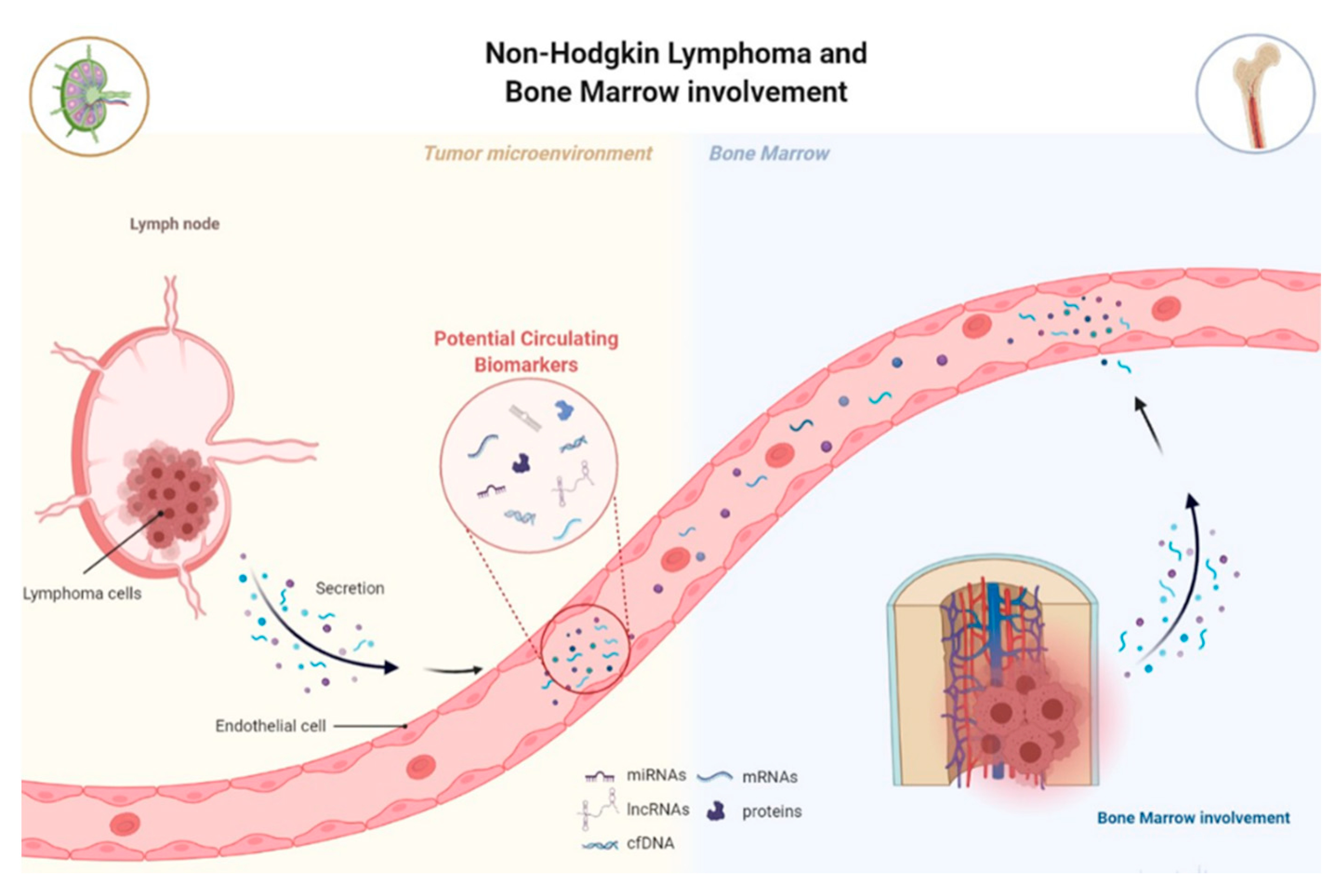 Biomedicines 09 01934 g003