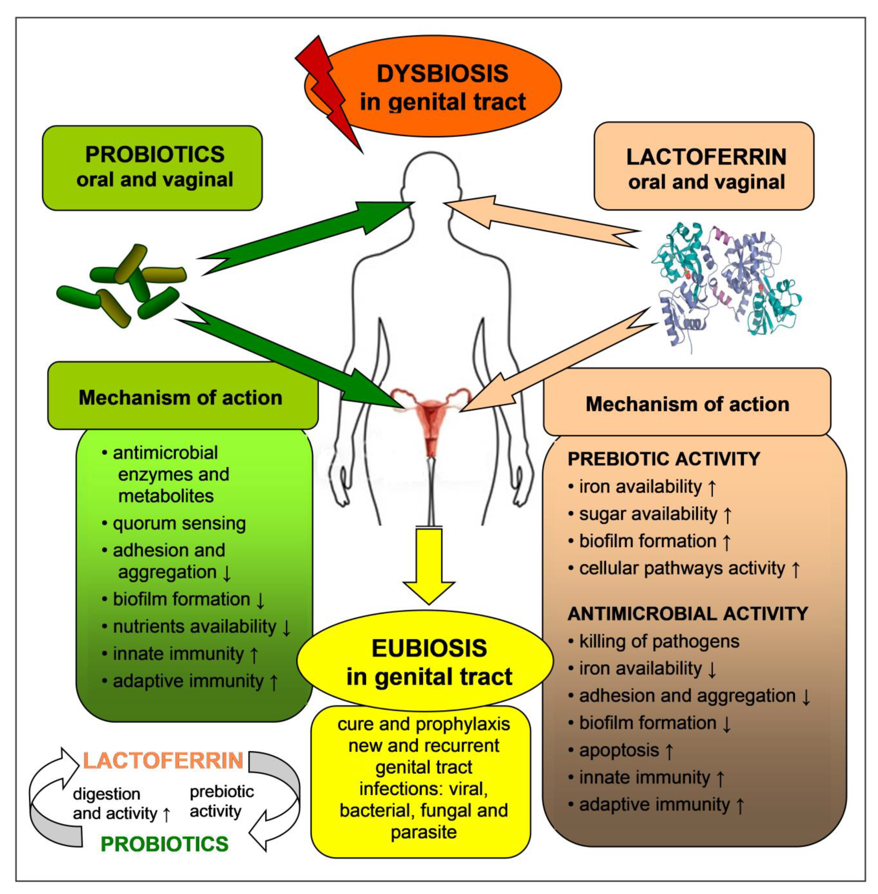 Biomedicines 09 01940 g003