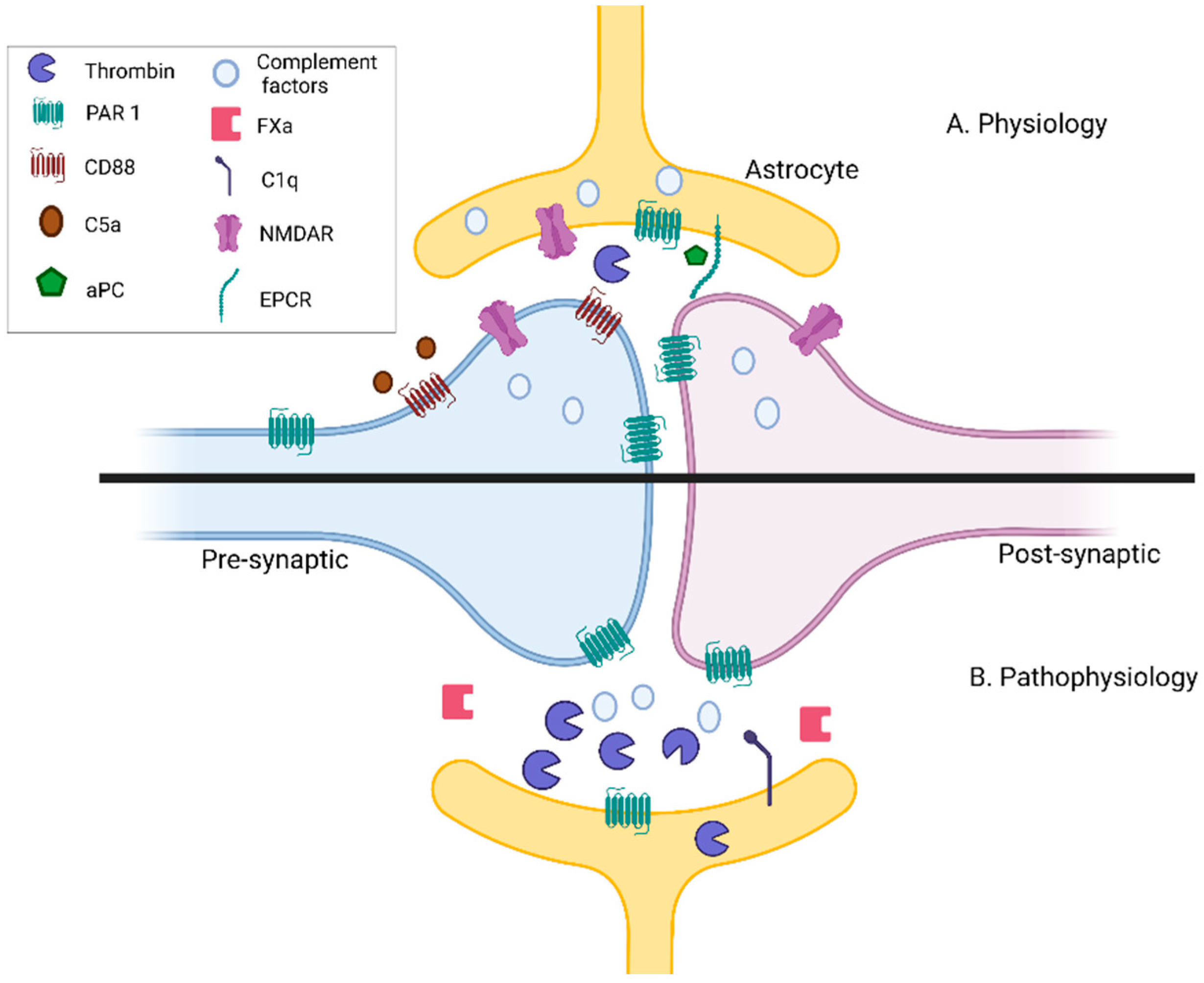 Biomedicines 09 01950 g002