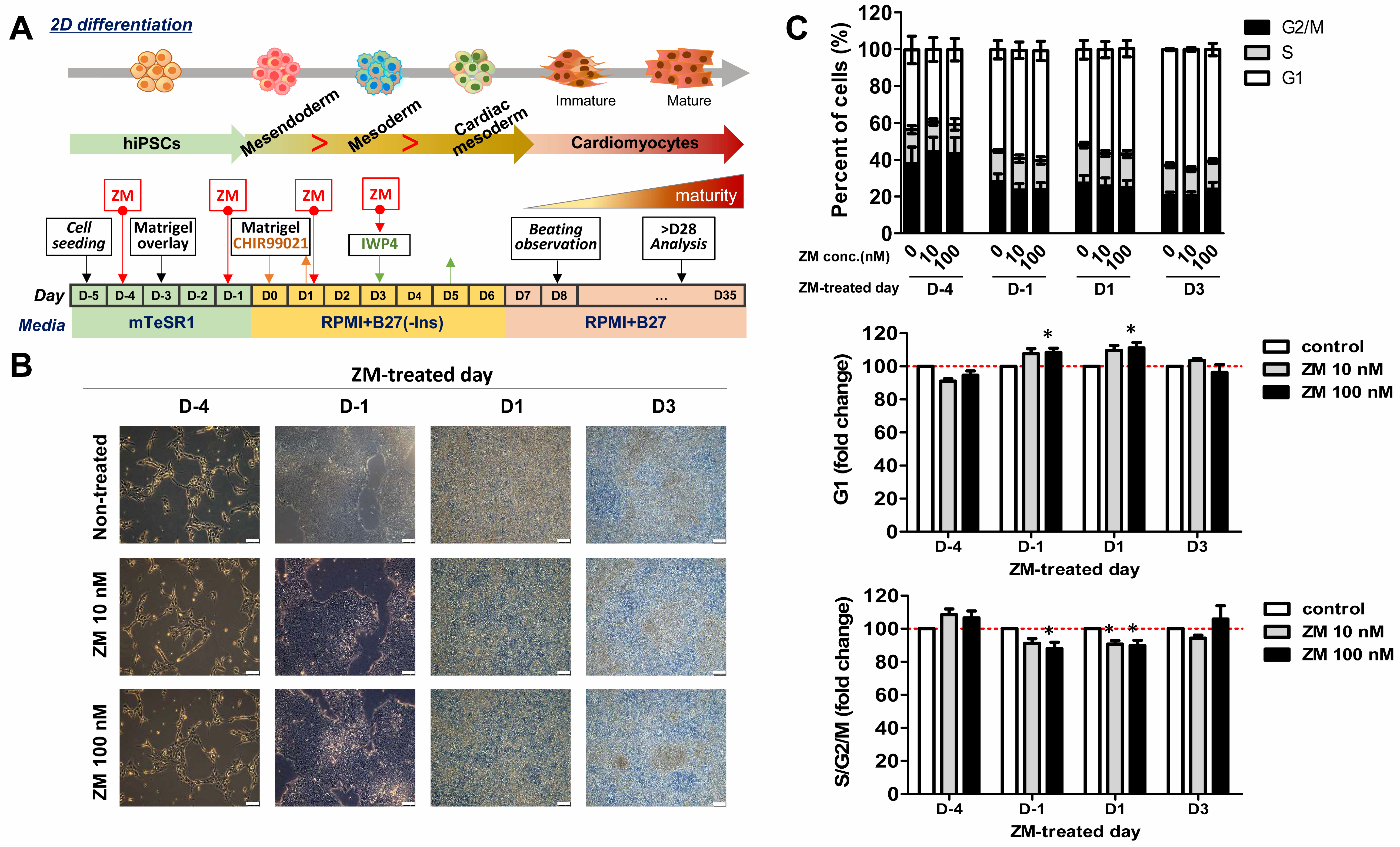 Biomedicines 09 01952 g002