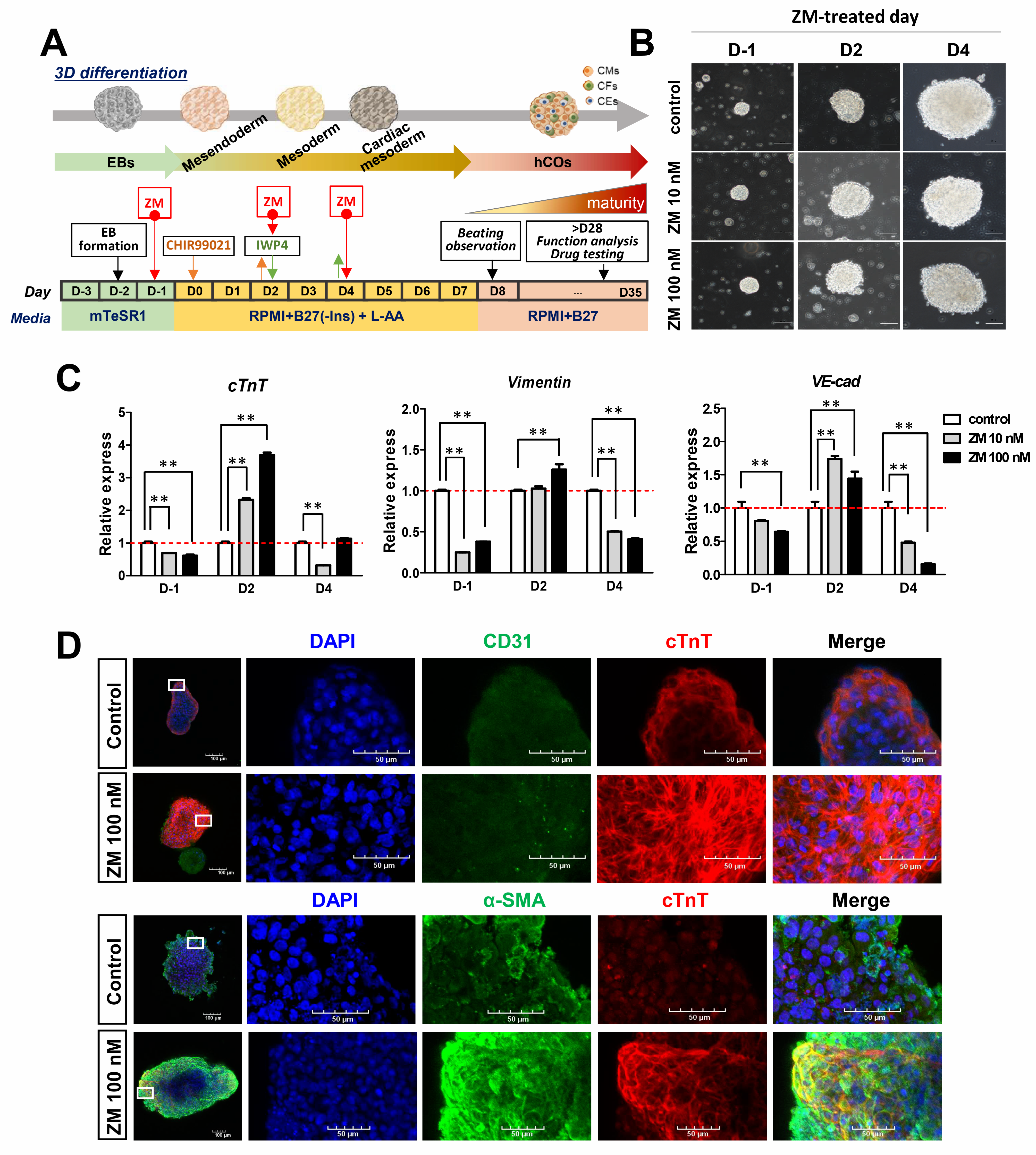 Biomedicines 09 01952 g004