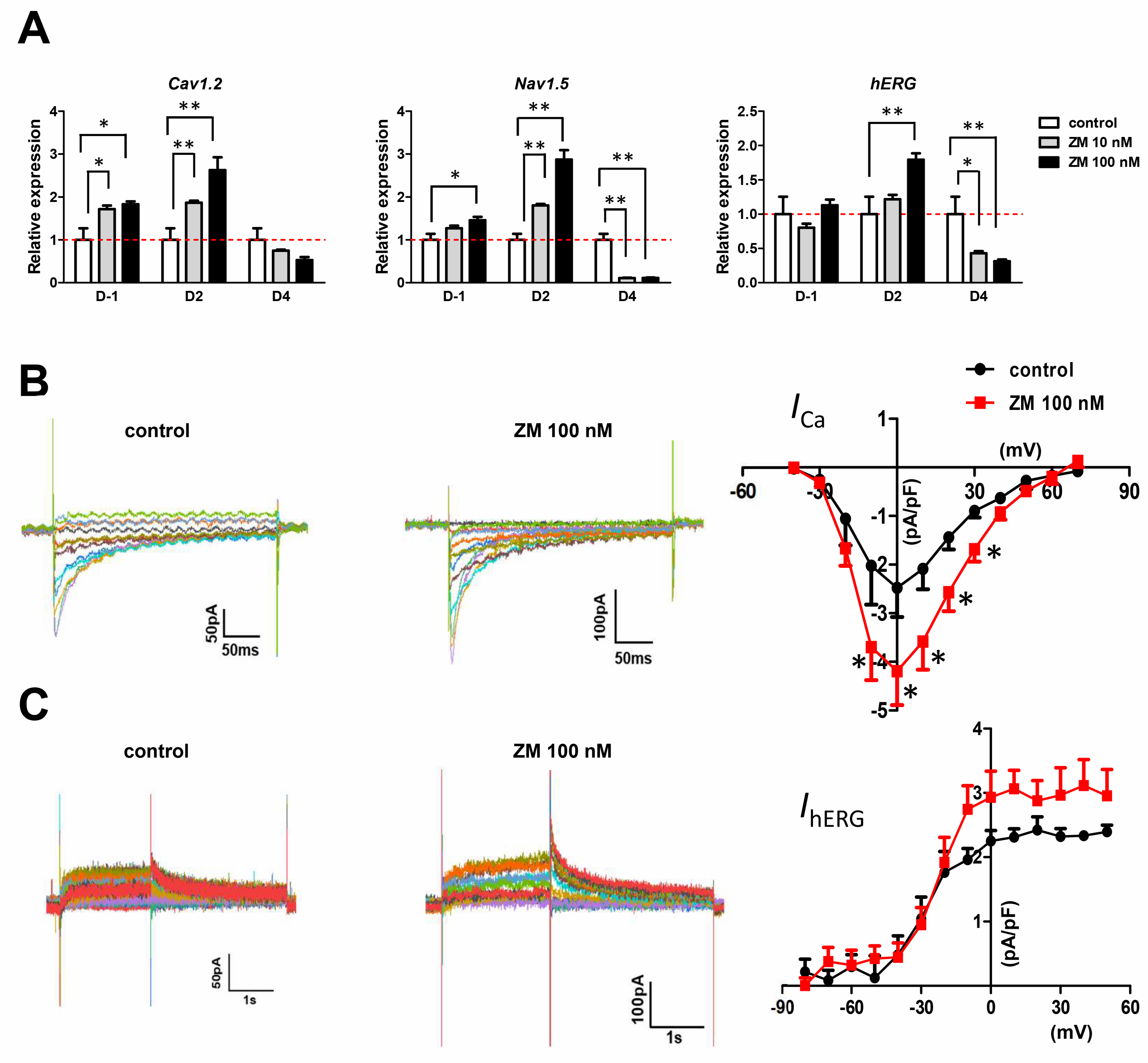 Biomedicines 09 01952 g005