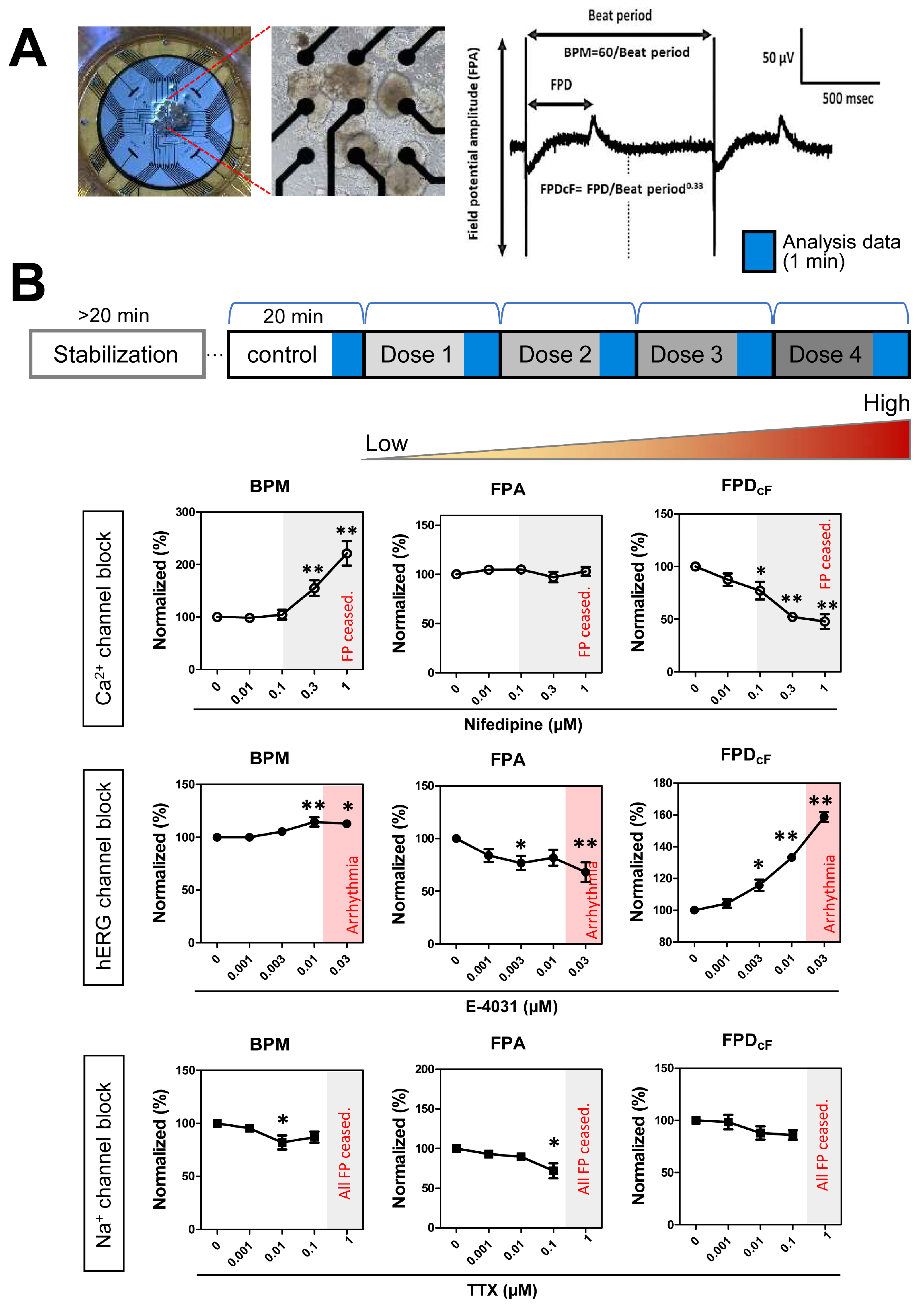 Biomedicines 09 01952 g007