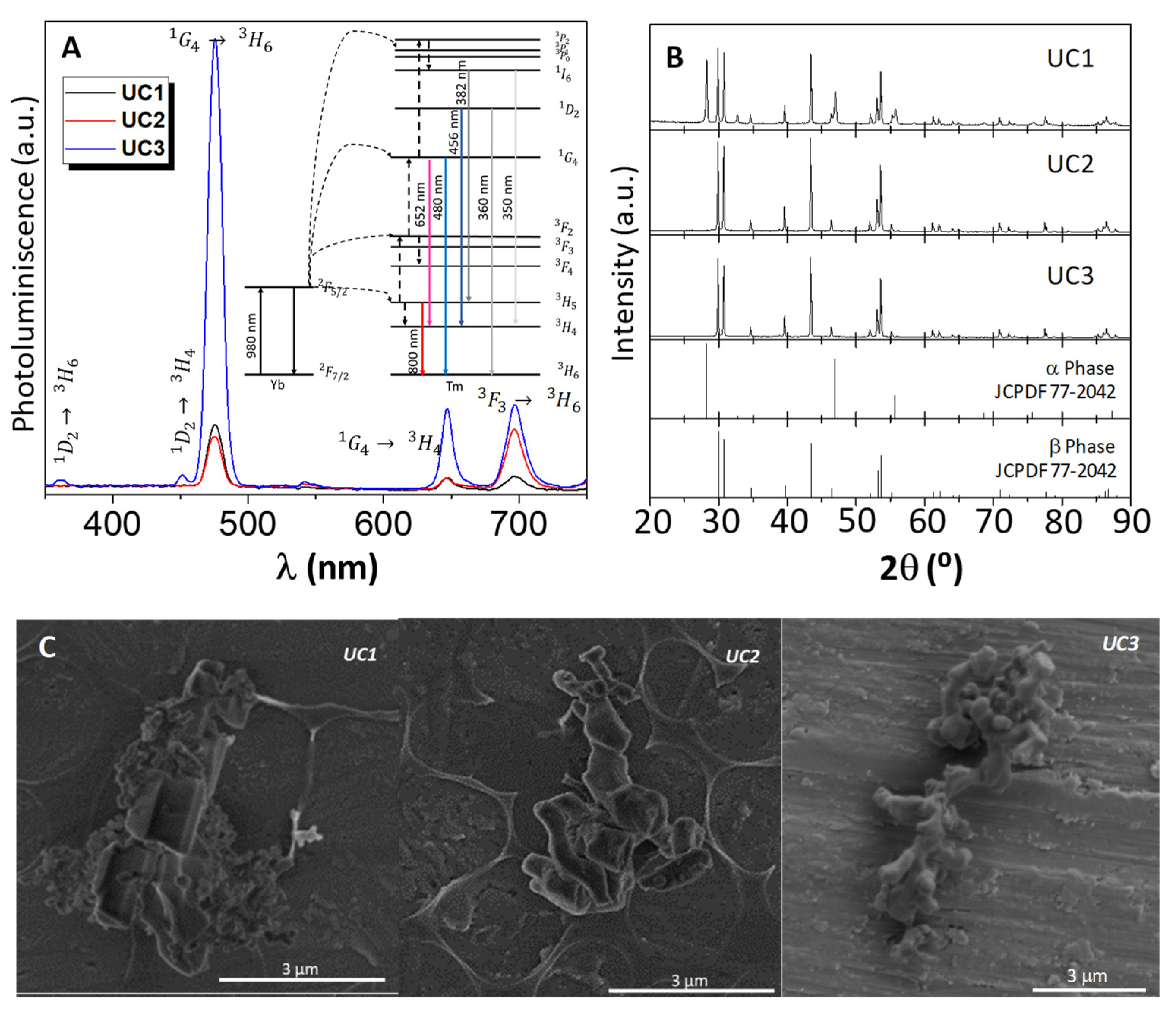 Biomedicines 09 01953 g001