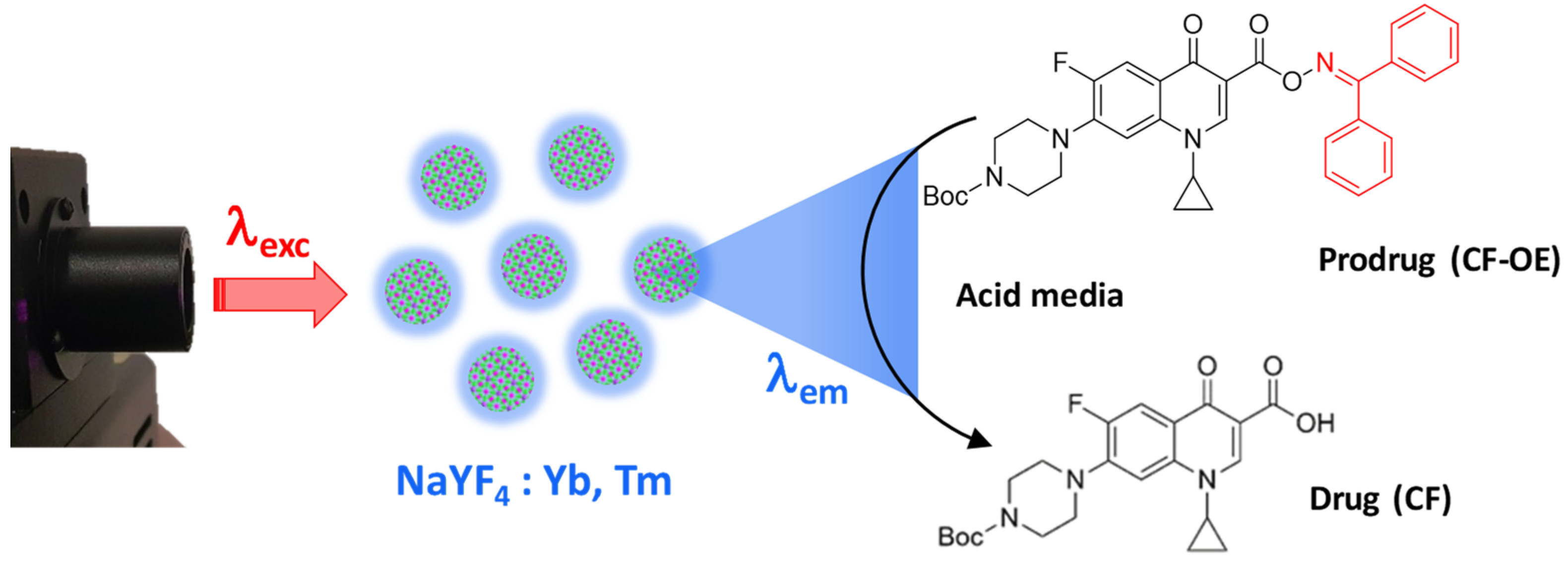 Biomedicines 09 01953 sch001