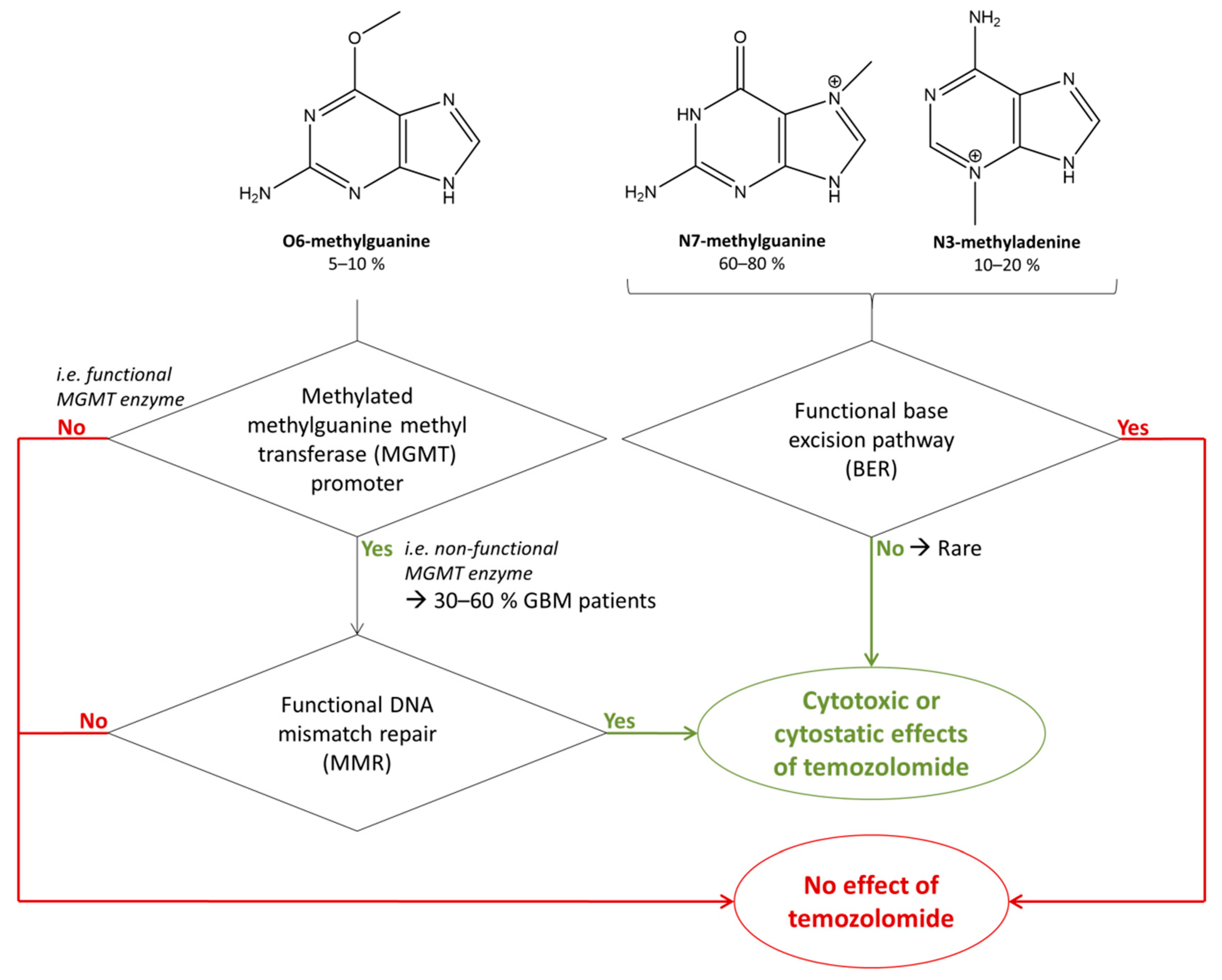 Biomedicines 10 00001 g002